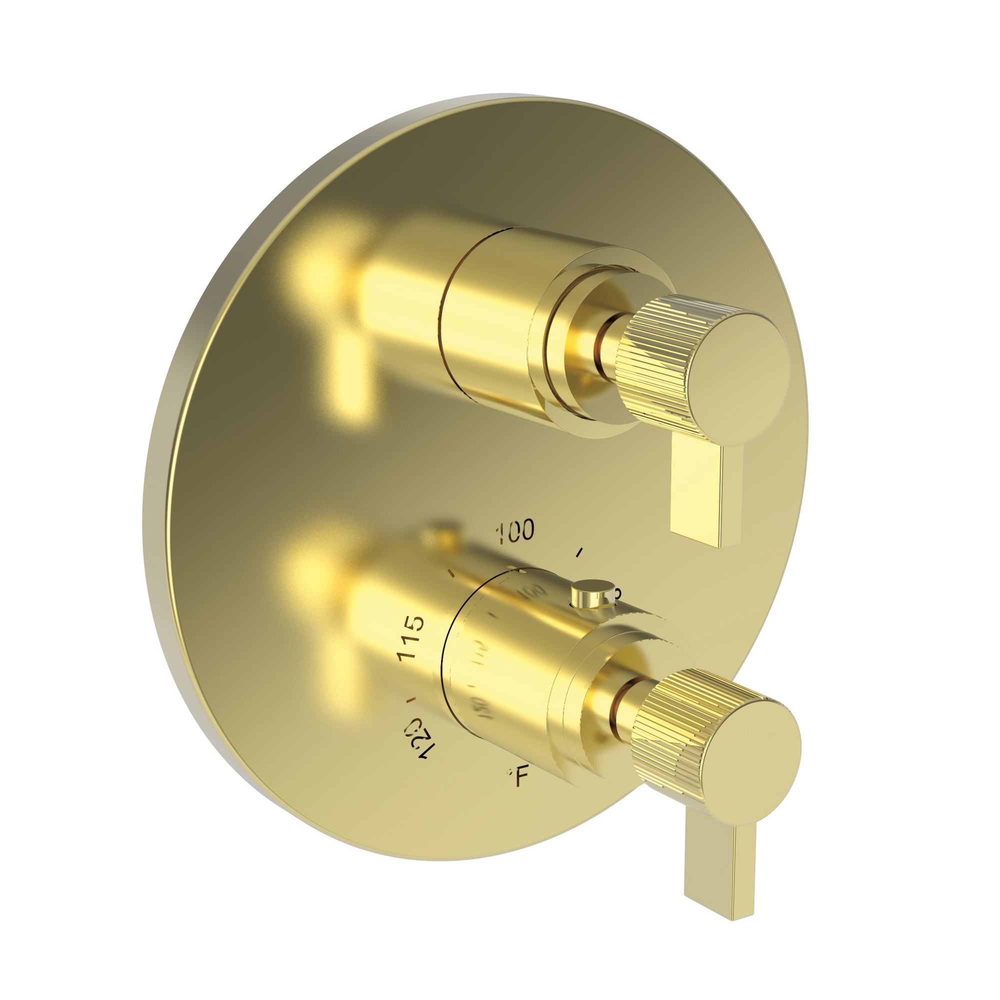 Newport Brass Pardees® 1/2" Round Thermostatic Trim Plate with Handle