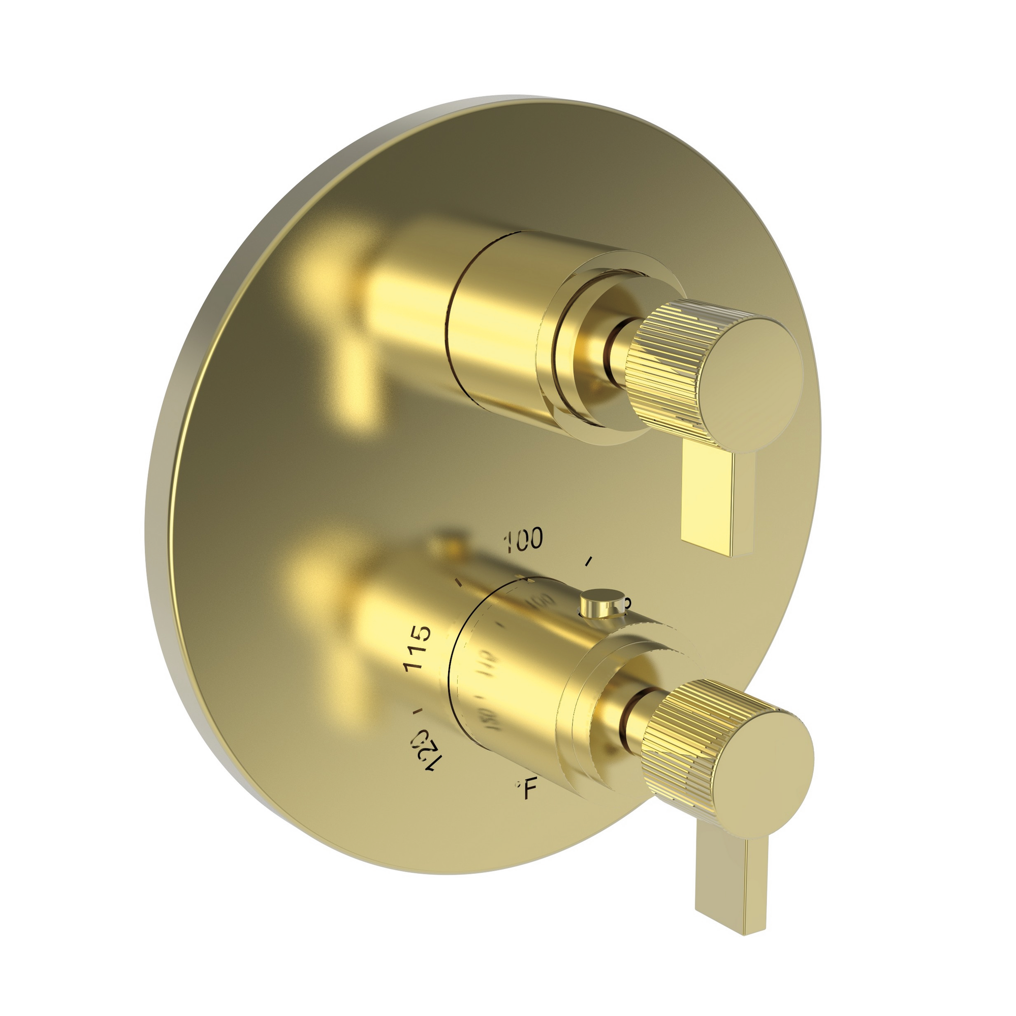 Newport Brass Pardees® 1/2" Round Thermostatic Trim Plate with Handle