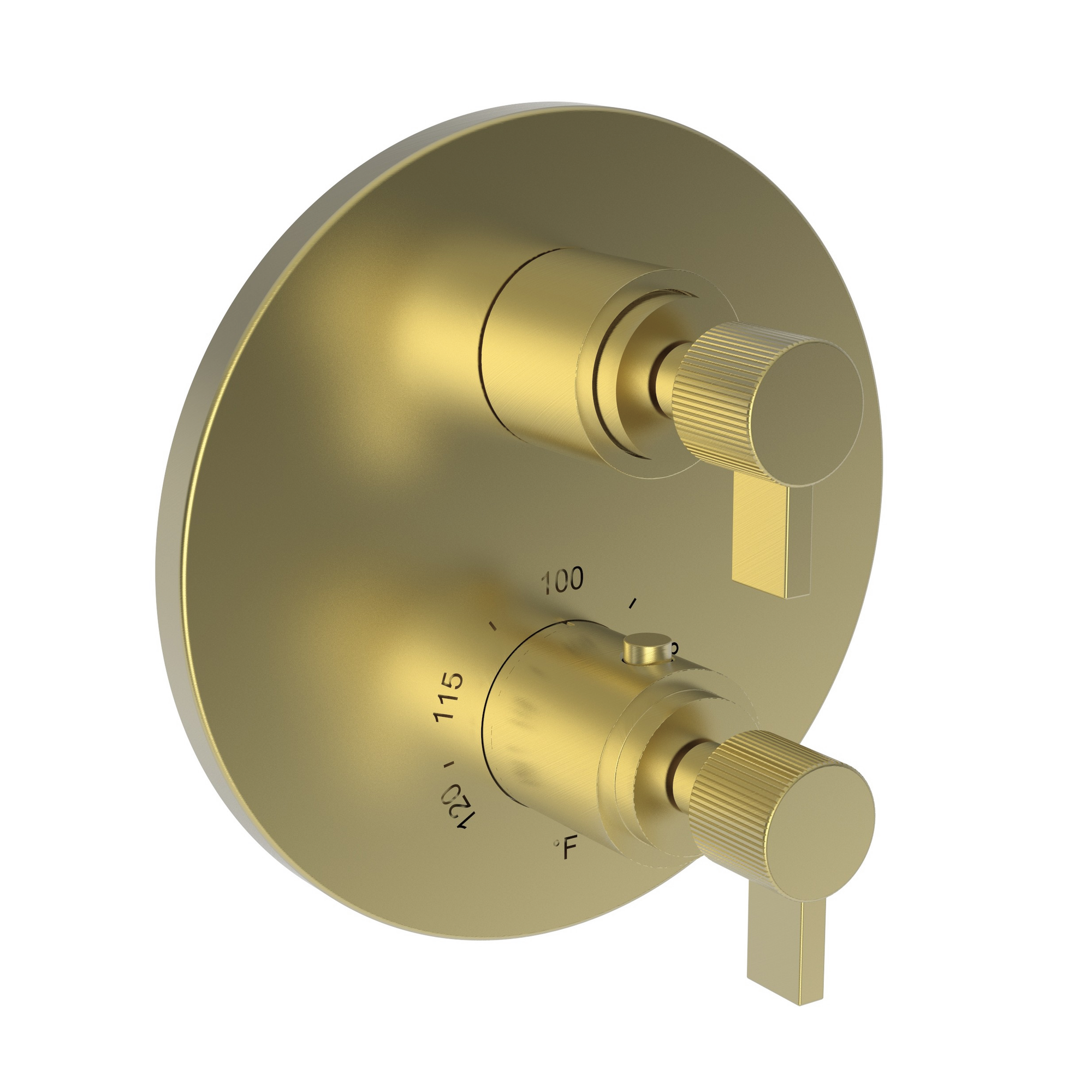 Newport Brass Pardees® 1/2" Round Thermostatic Trim Plate with Handle