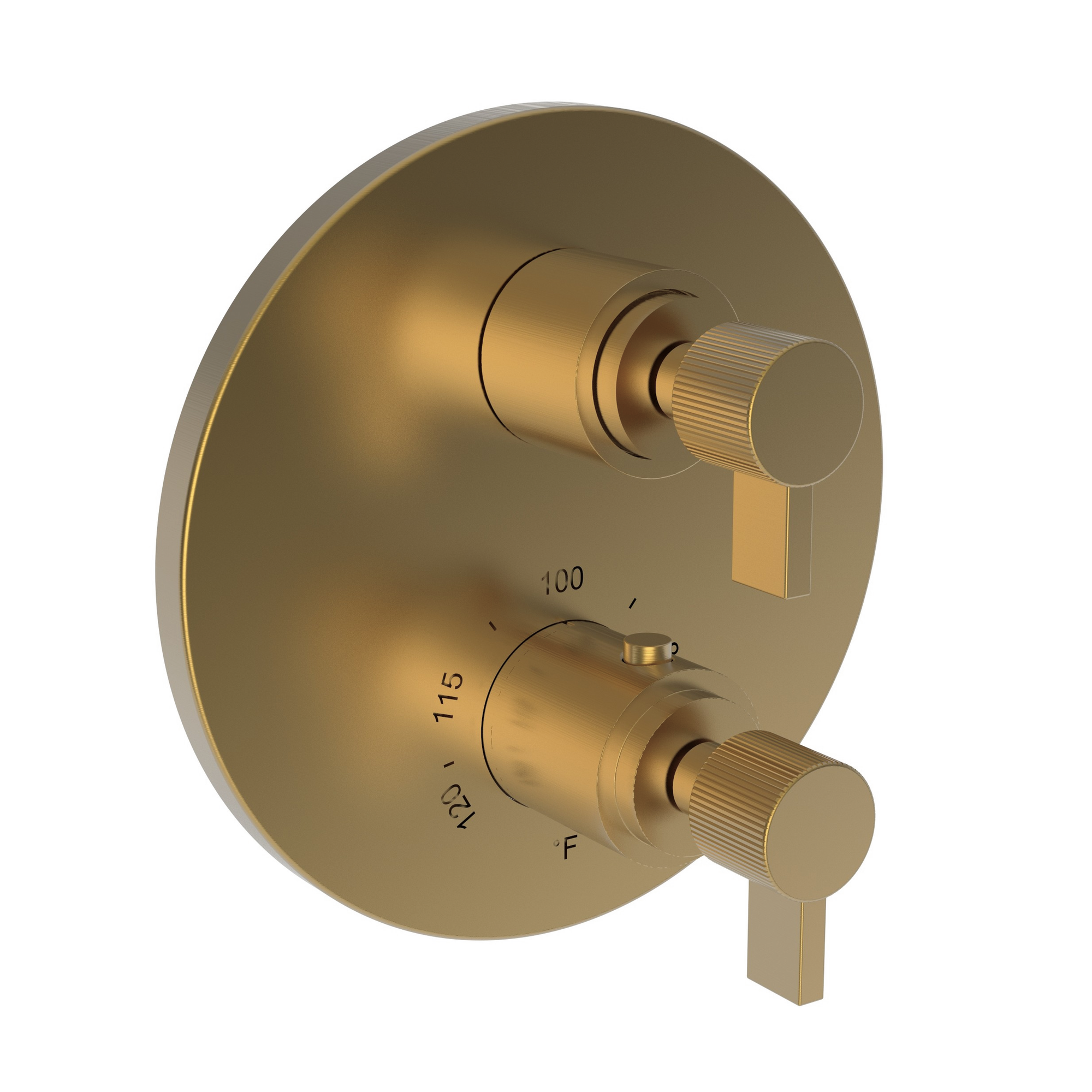 Newport Brass Pardees® 1/2" Round Thermostatic Trim Plate with Handle