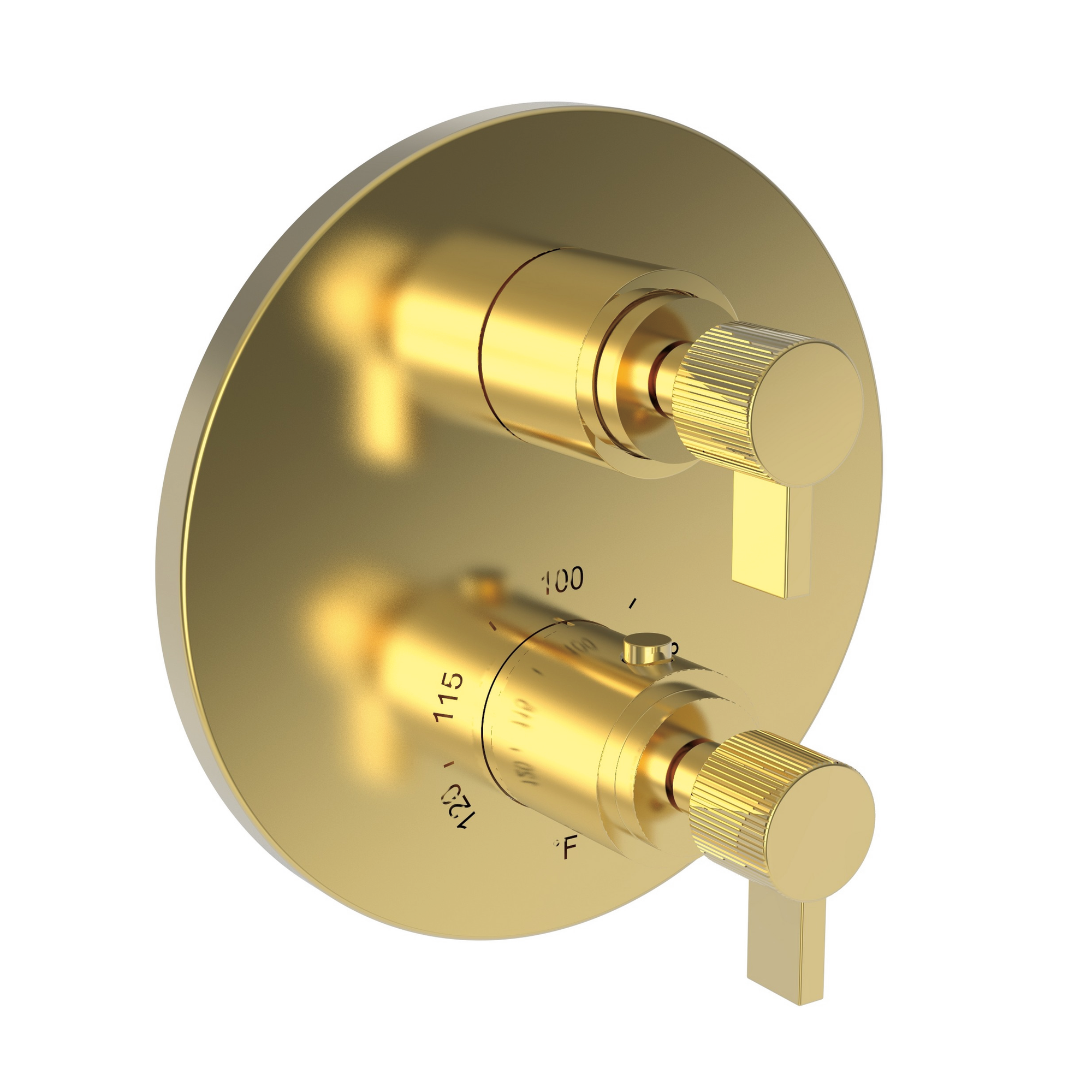 Newport Brass Pardees® 1/2" Round Thermostatic Trim Plate with Handle