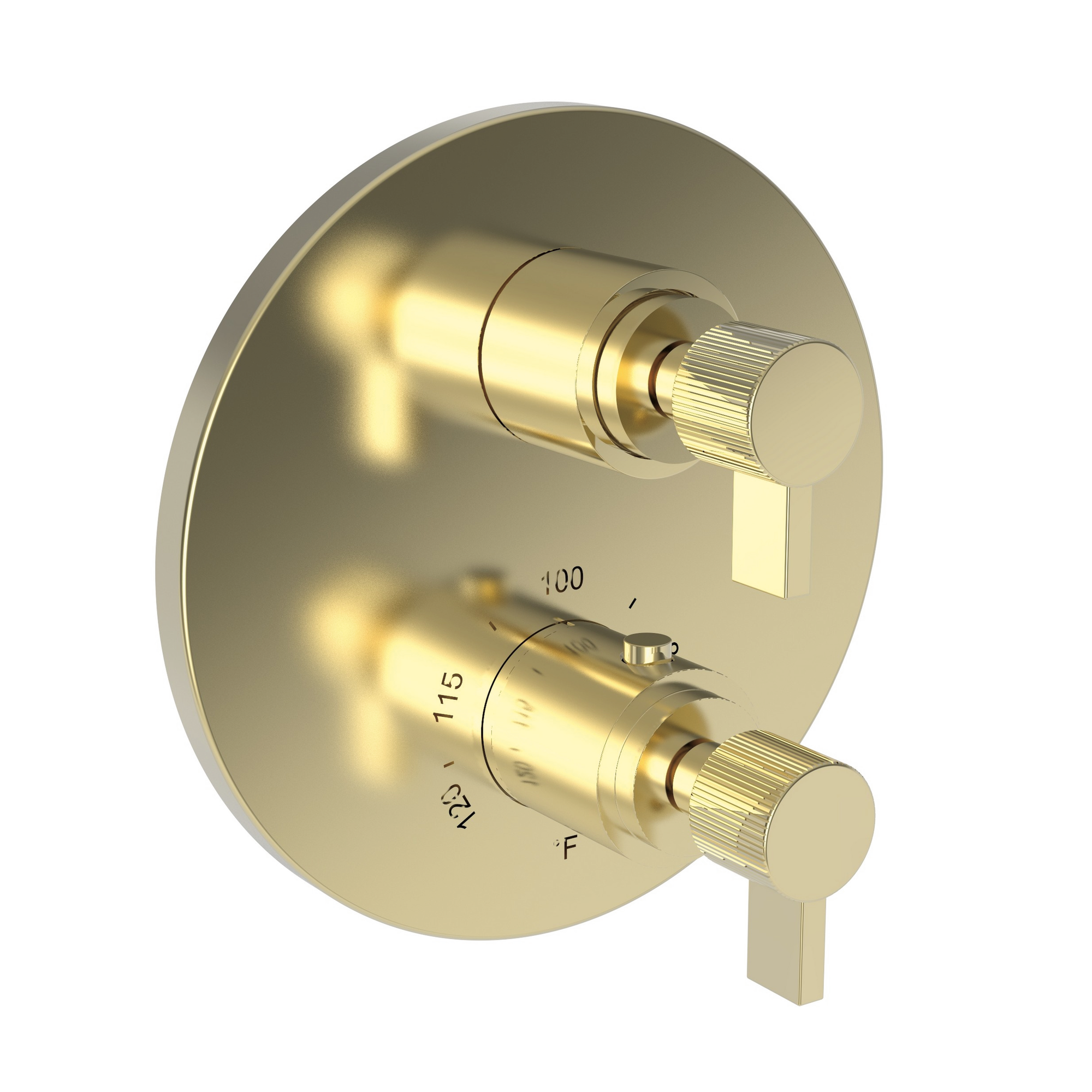 Newport Brass Pardees® 1/2" Round Thermostatic Trim Plate with Handle