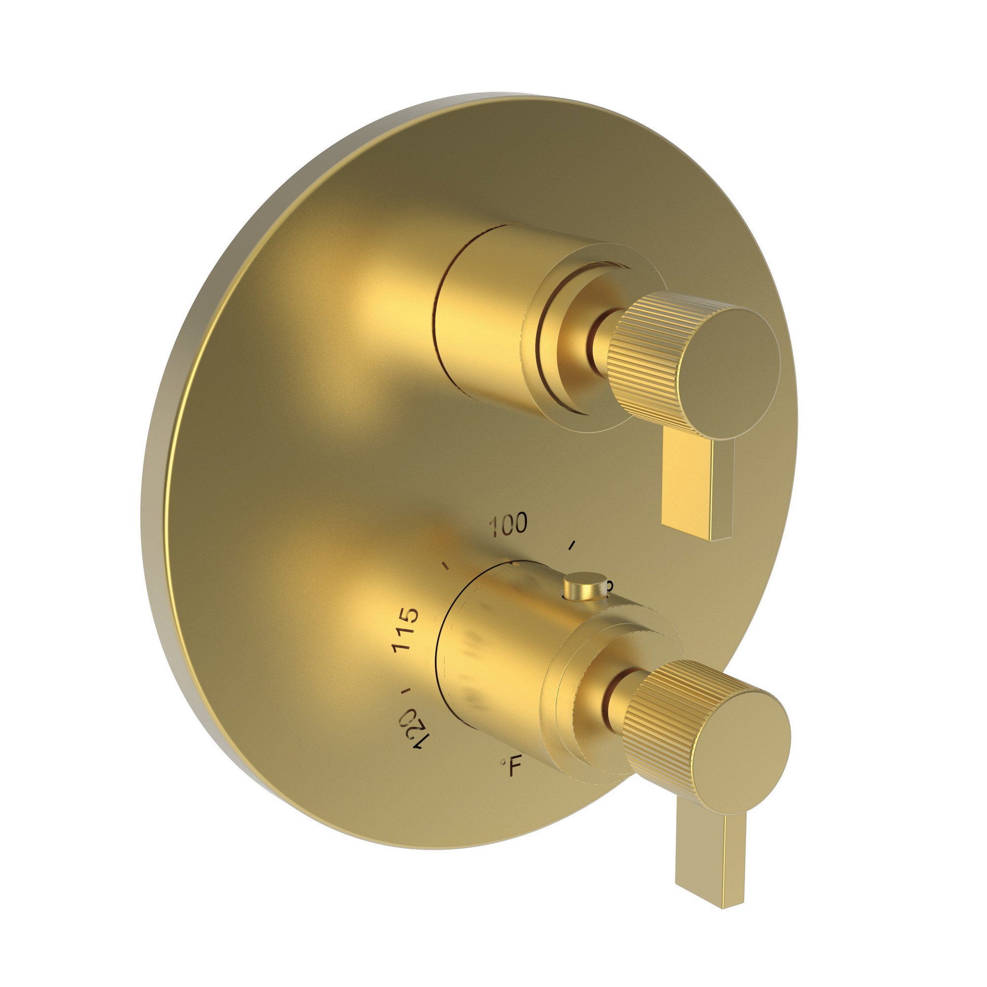 Newport Brass Pardees® 1/2" Round Thermostatic Trim Plate with Handle