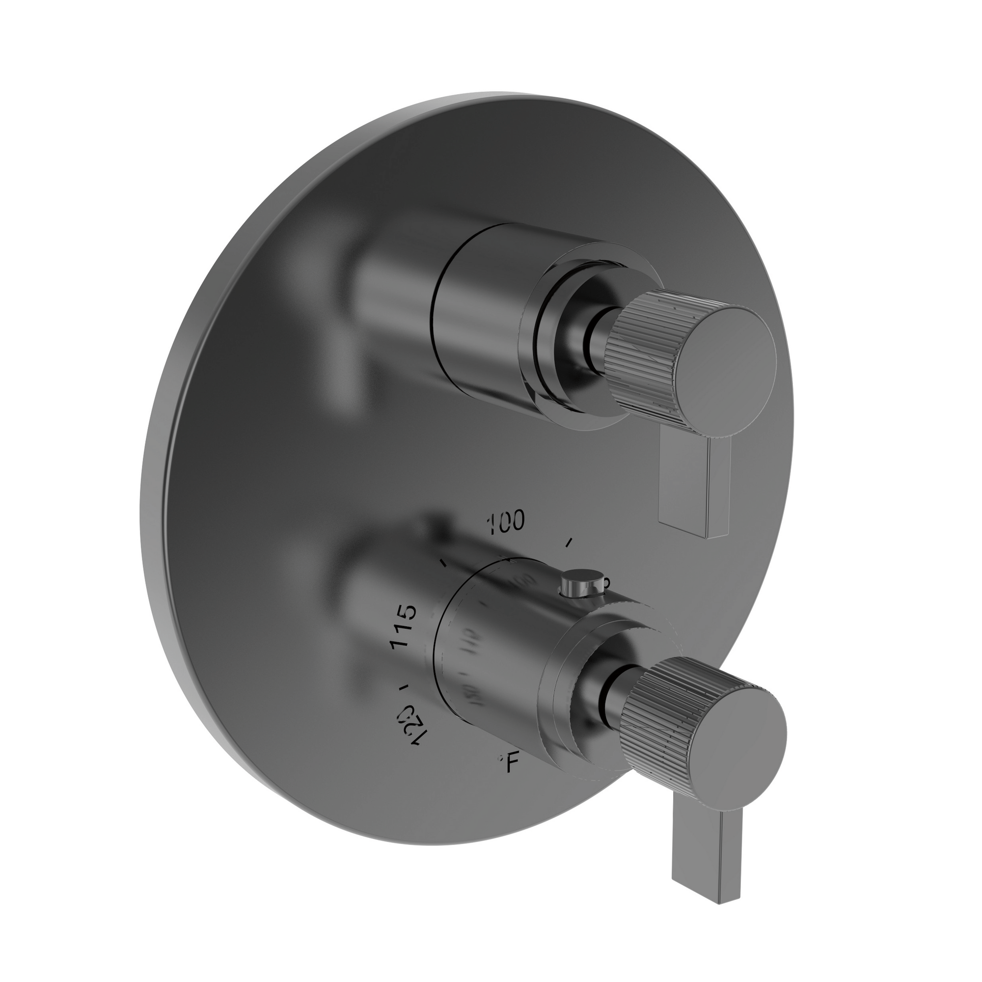 Newport Brass Pardees® 1/2" Round Thermostatic Trim Plate with Handle