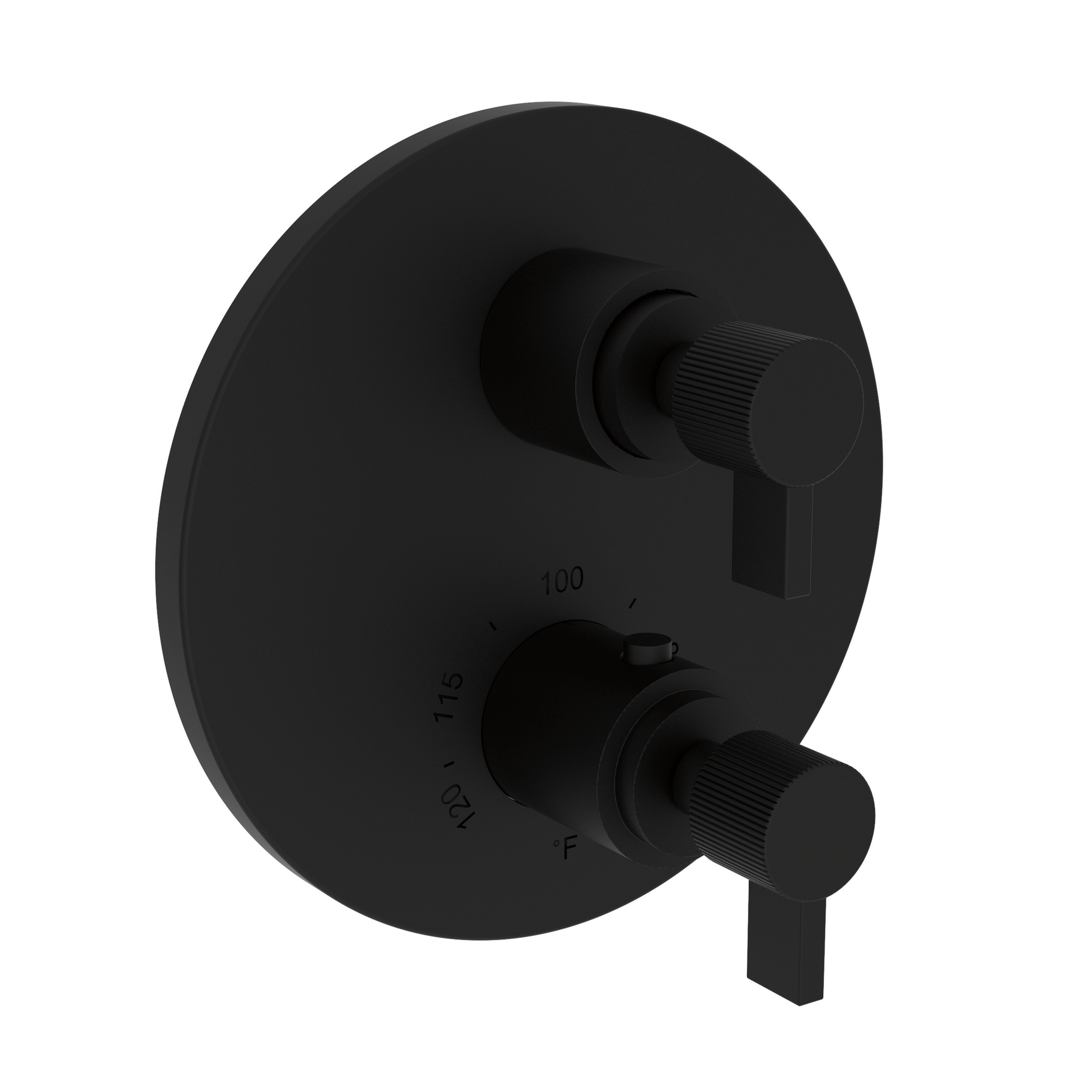 Newport Brass Pardees® 1/2" Round Thermostatic Trim Plate with Handle