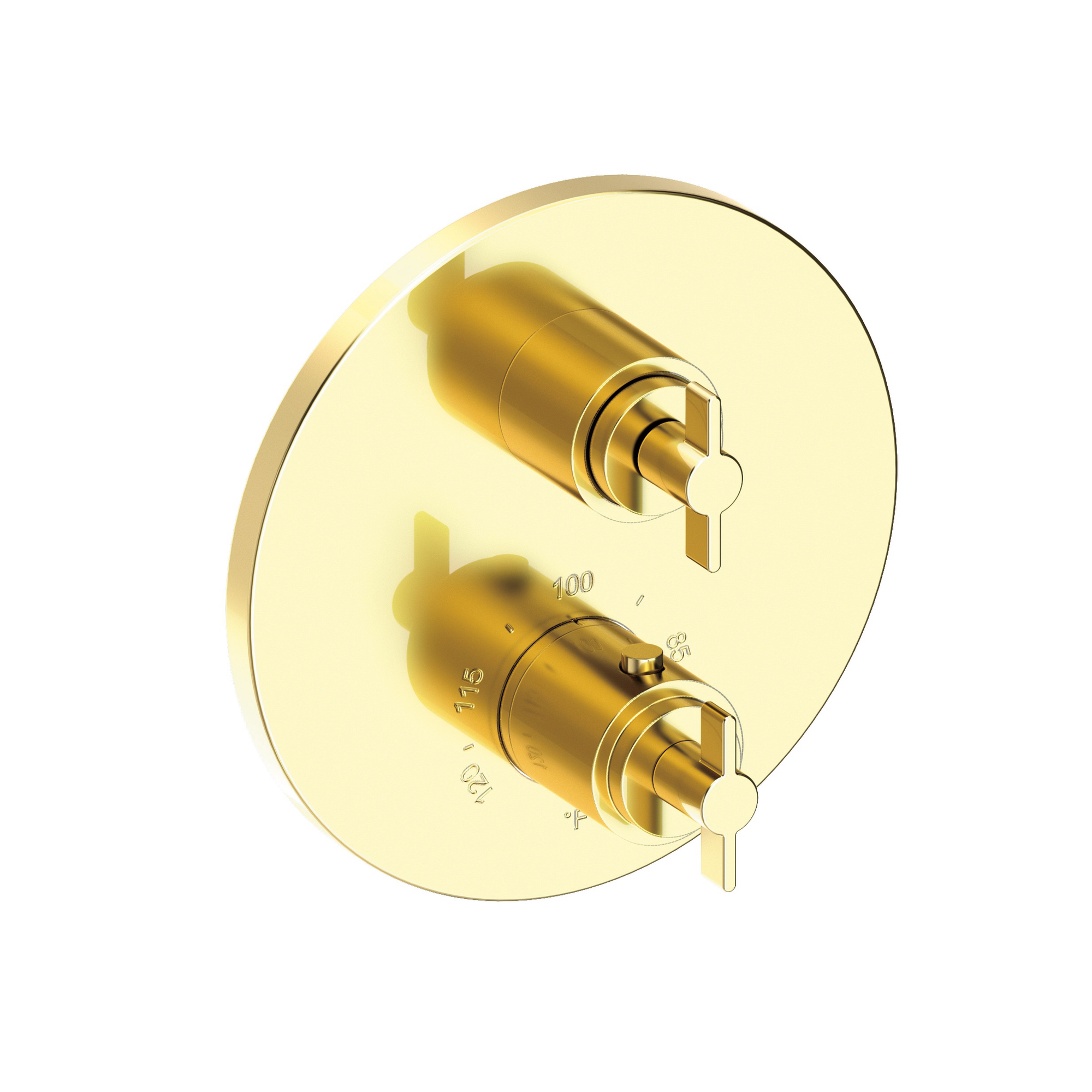 Newport Brass Tolmin® 1/2" Round Thermostatic Trim Plate with Handle