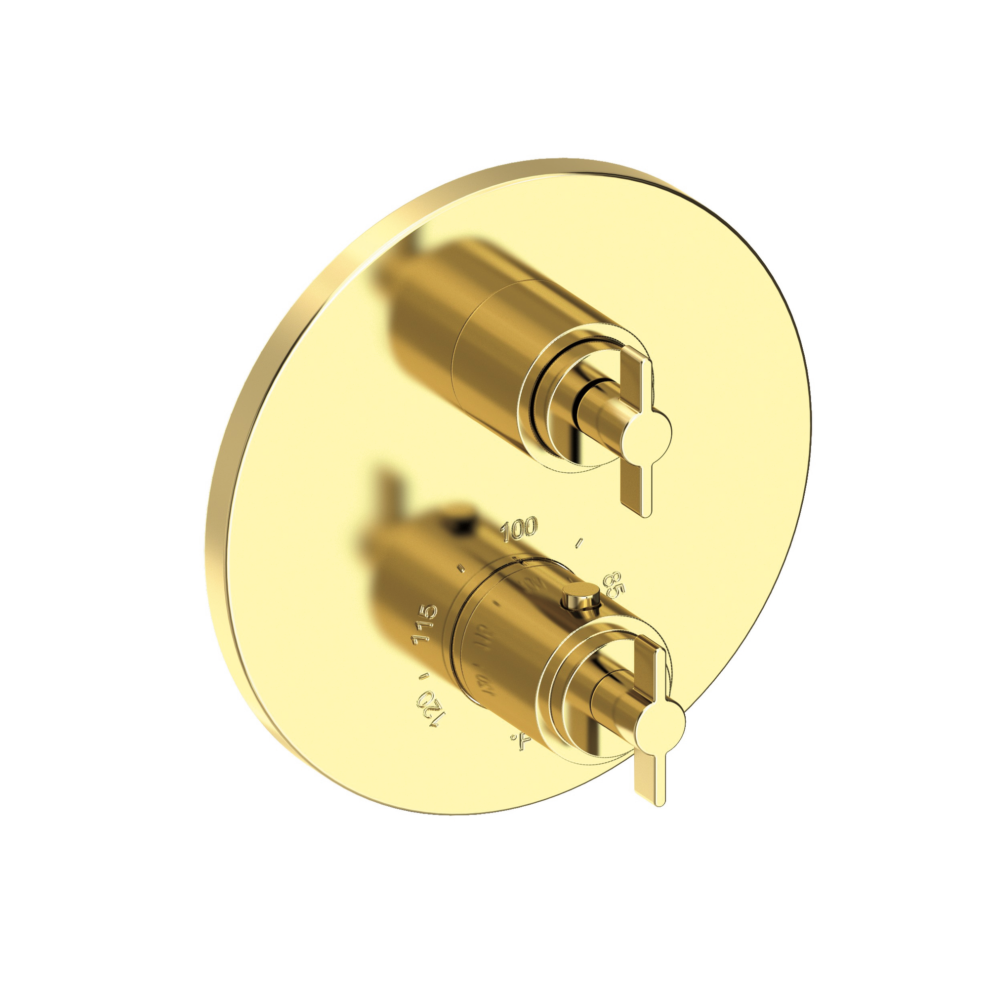 Newport Brass Tolmin® 1/2" Round Thermostatic Trim Plate with Handle