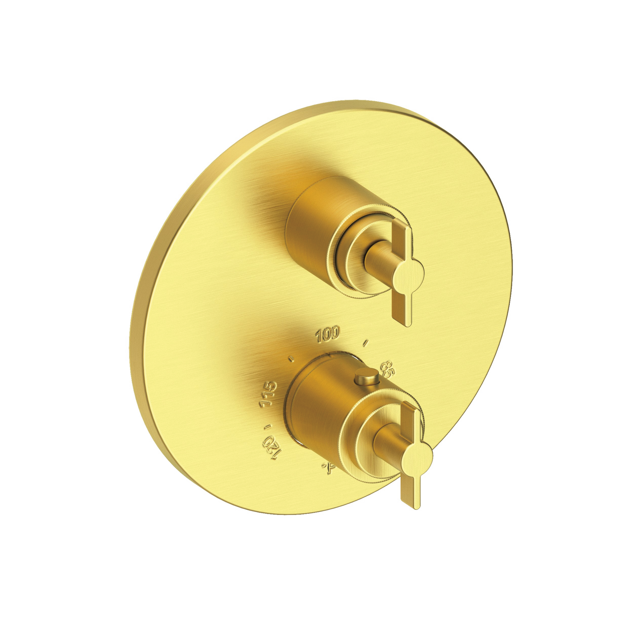 Newport Brass Tolmin® 1/2" Round Thermostatic Trim Plate with Handle