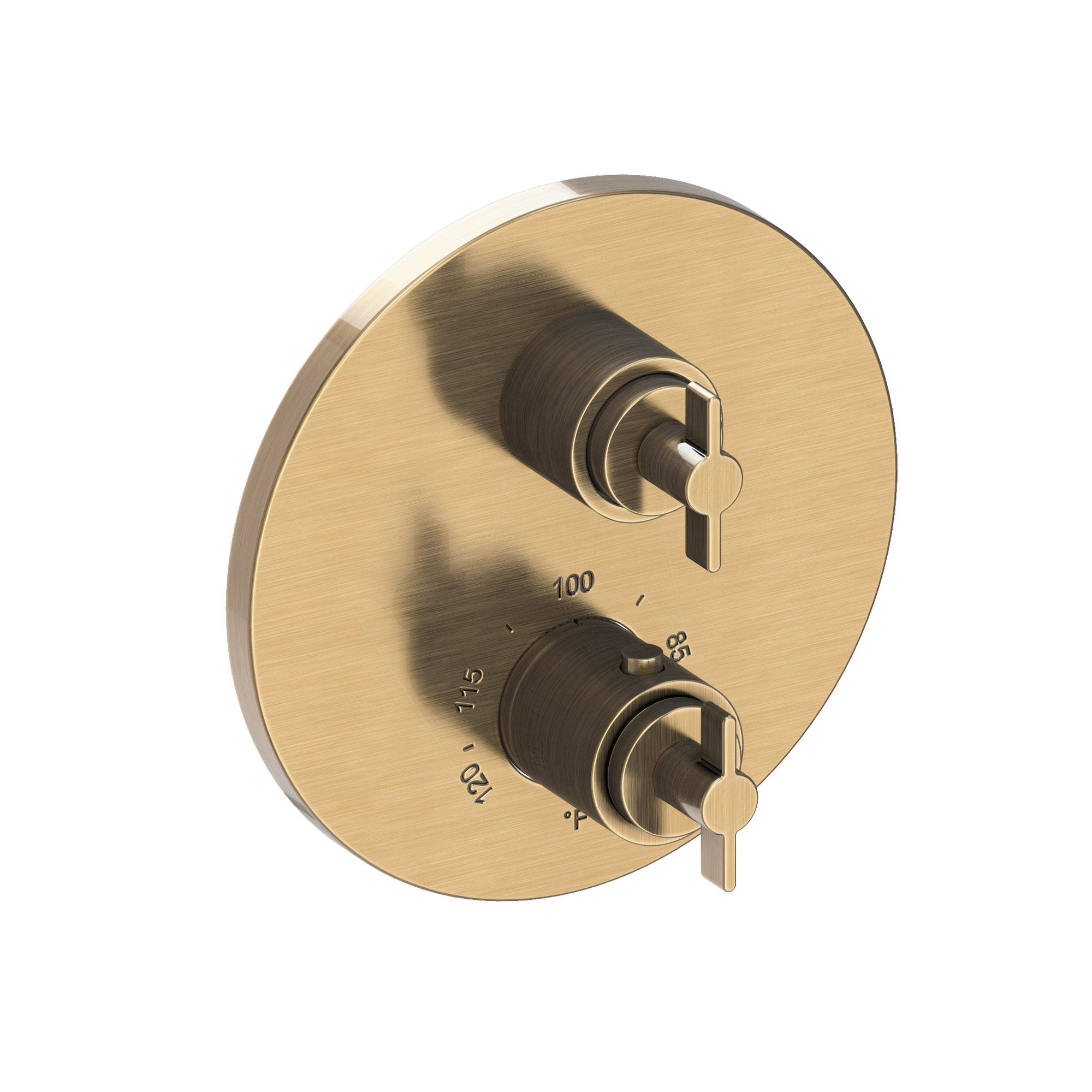 Newport Brass Tolmin® 1/2" Round Thermostatic Trim Plate with Handle