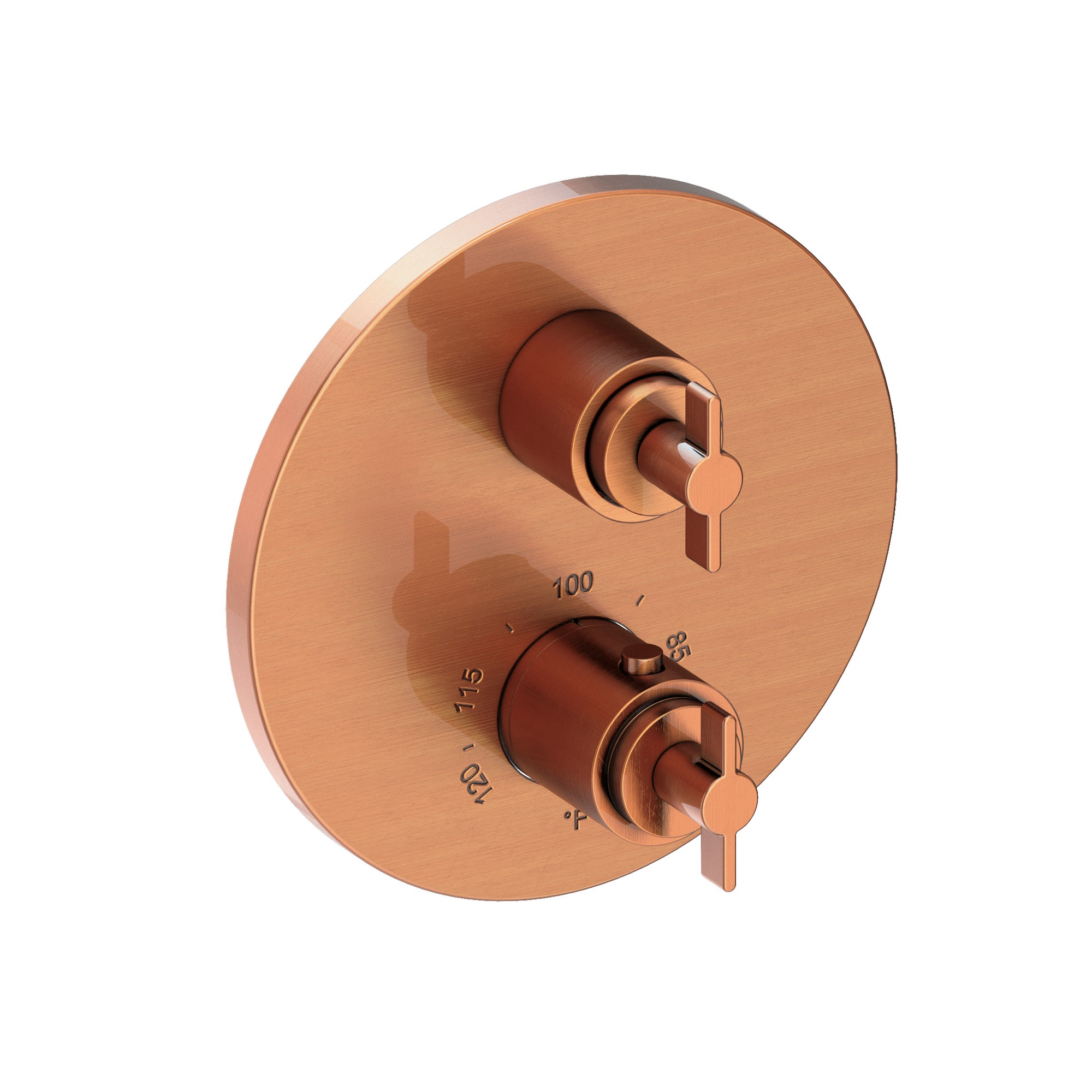 Newport Brass Tolmin® 1/2" Round Thermostatic Trim Plate with Handle