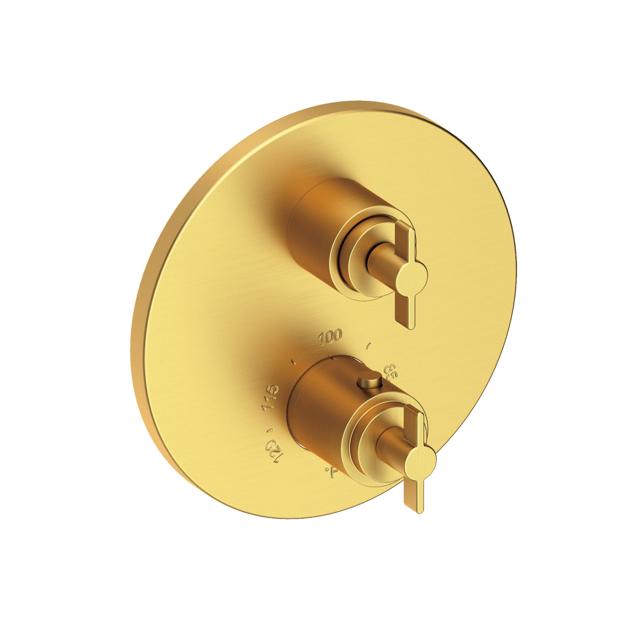 Newport Brass Tolmin® 1/2" Round Thermostatic Trim Plate with Handle