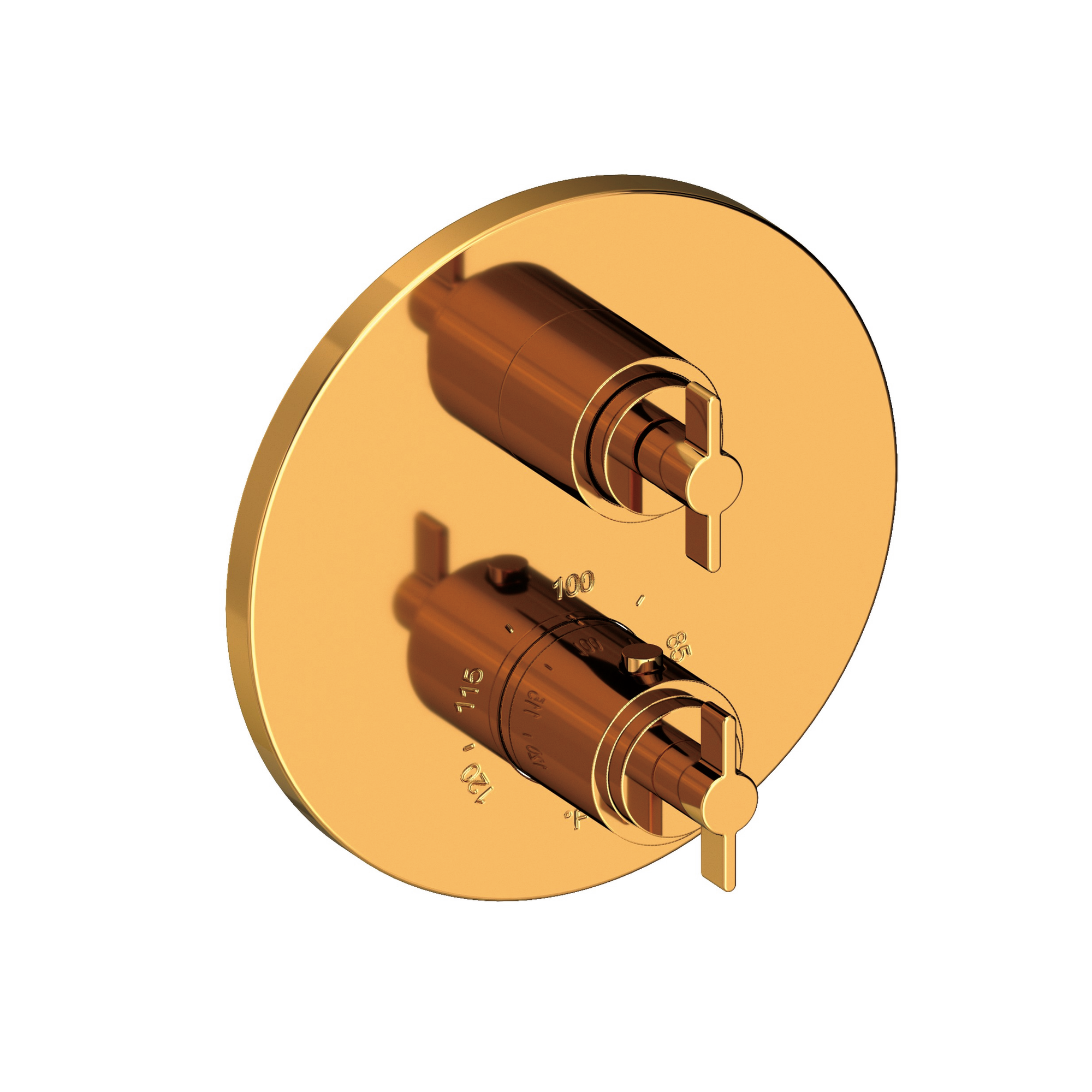 Newport Brass Tolmin® 1/2" Round Thermostatic Trim Plate with Handle