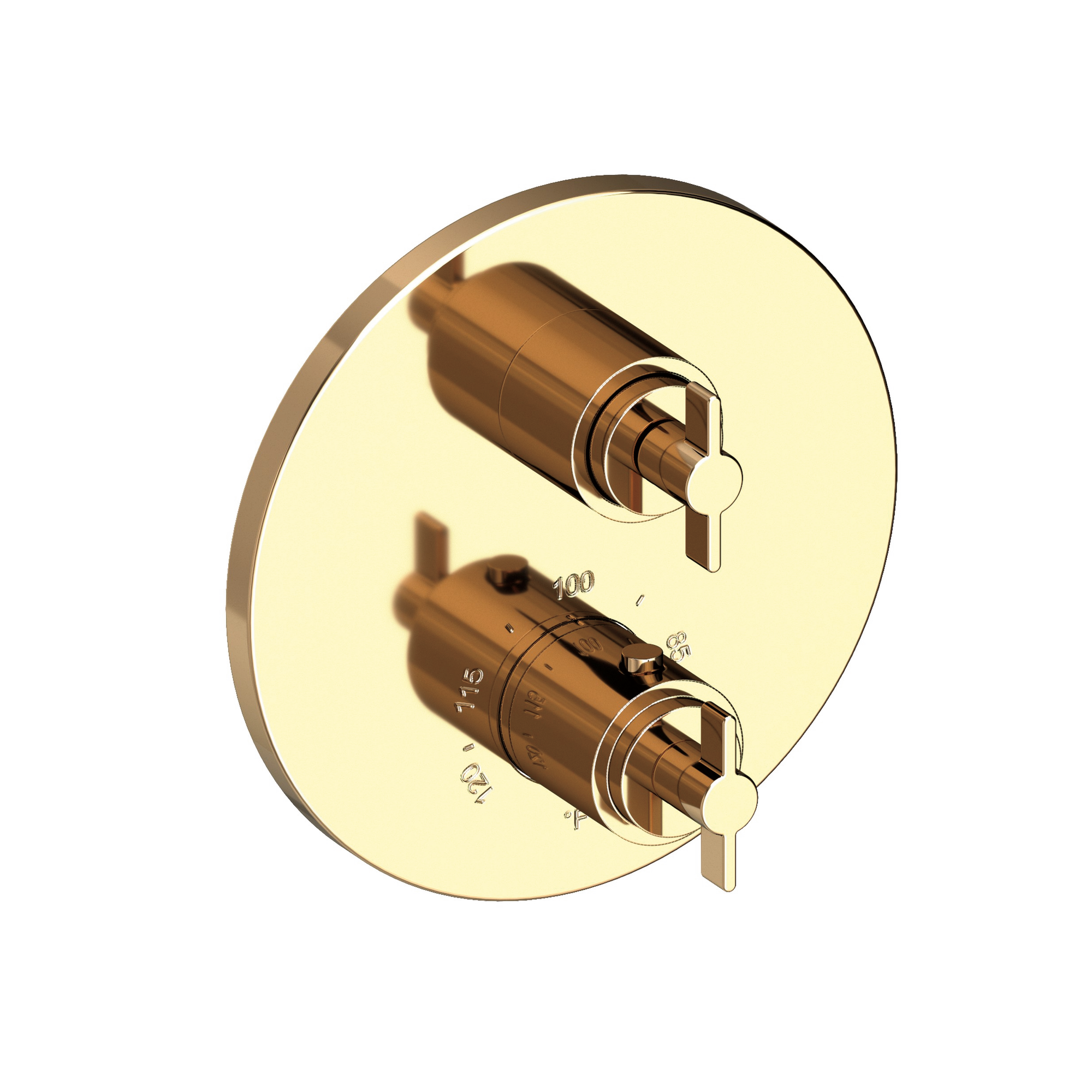Newport Brass Tolmin® 1/2" Round Thermostatic Trim Plate with Handle