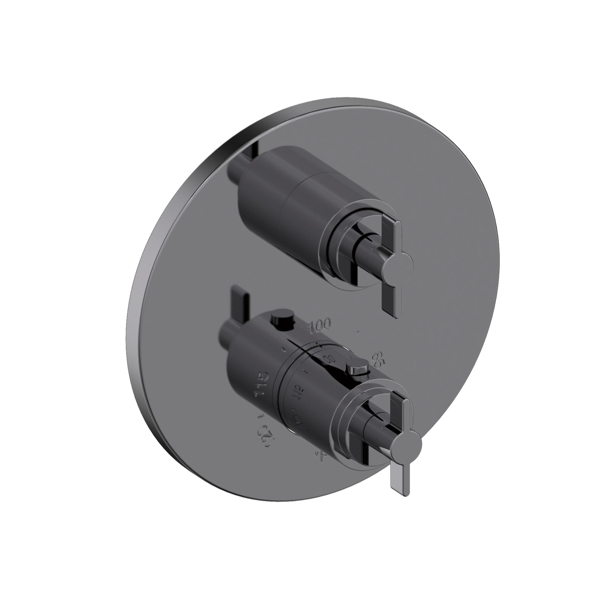 Newport Brass Tolmin® 1/2" Round Thermostatic Trim Plate with Handle