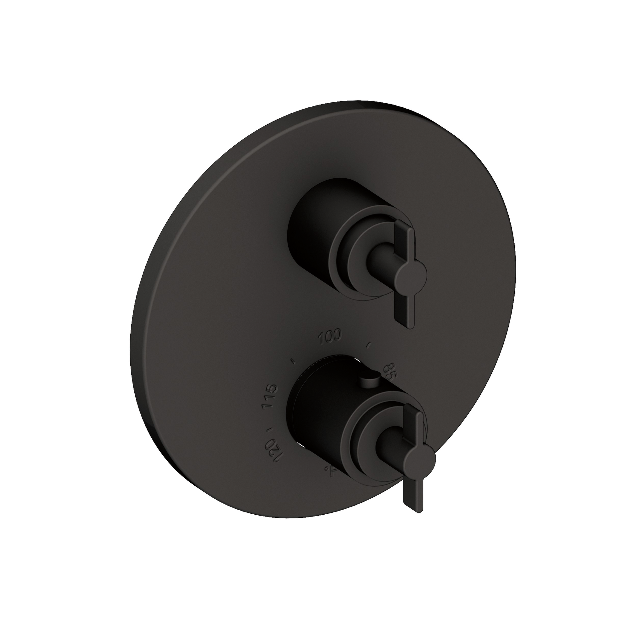 Newport Brass Tolmin® 1/2" Round Thermostatic Trim Plate with Handle