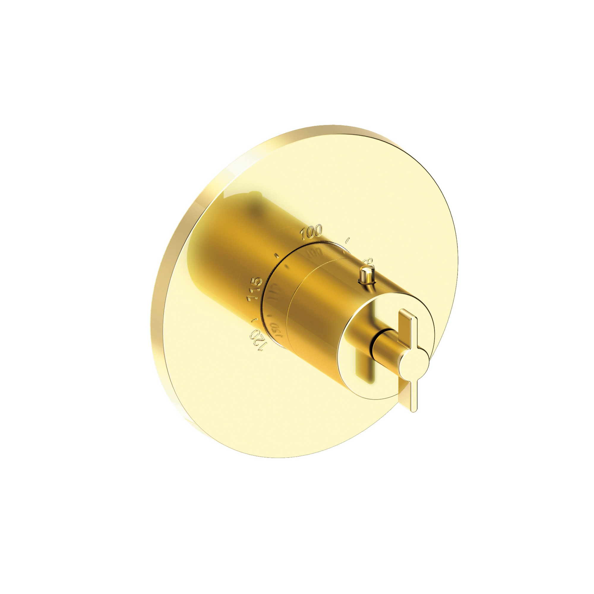 Newport Brass Tolmin® 3/4" Round Thermostatic Trim Plate with Handle