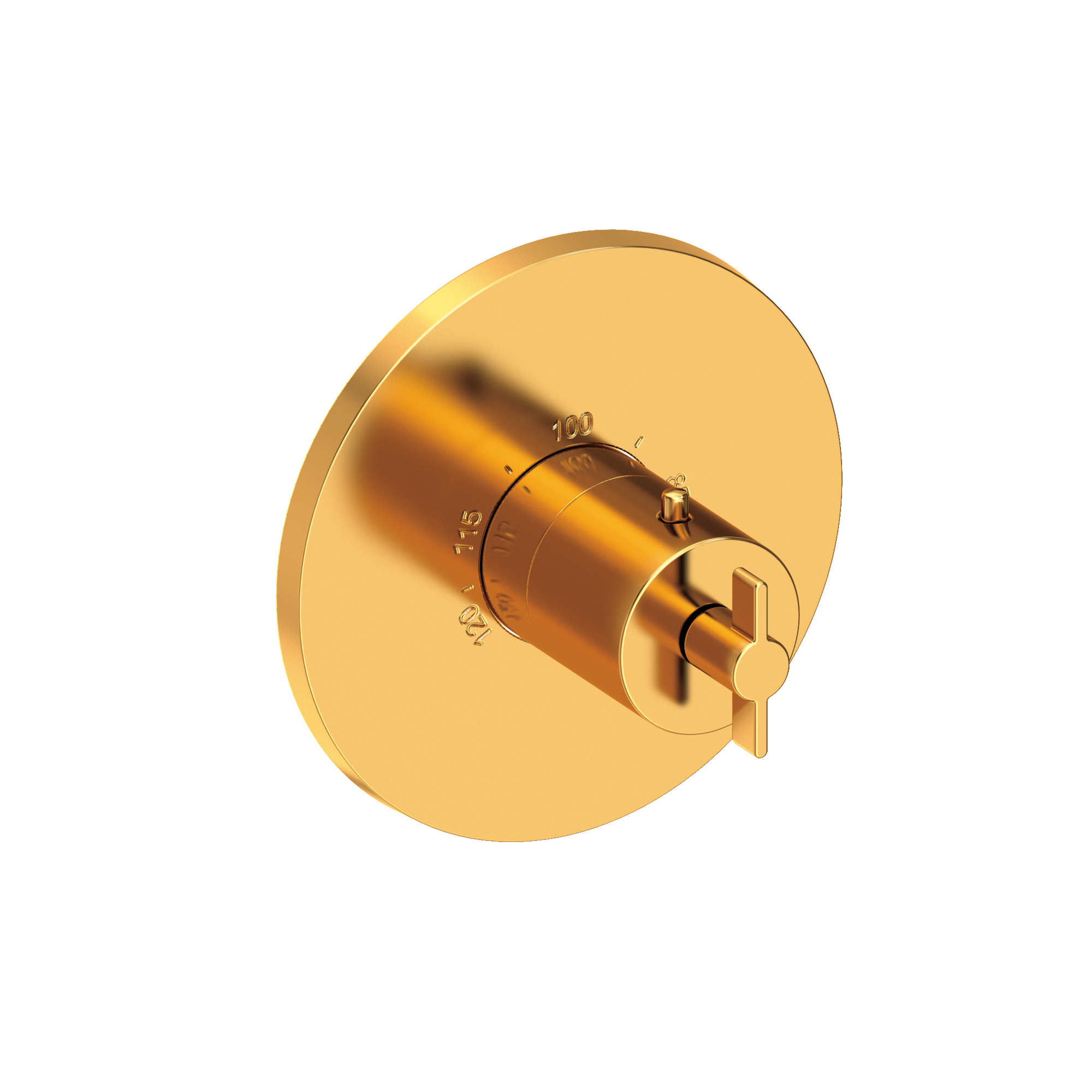 Newport Brass Tolmin® 3/4" Round Thermostatic Trim Plate with Handle
