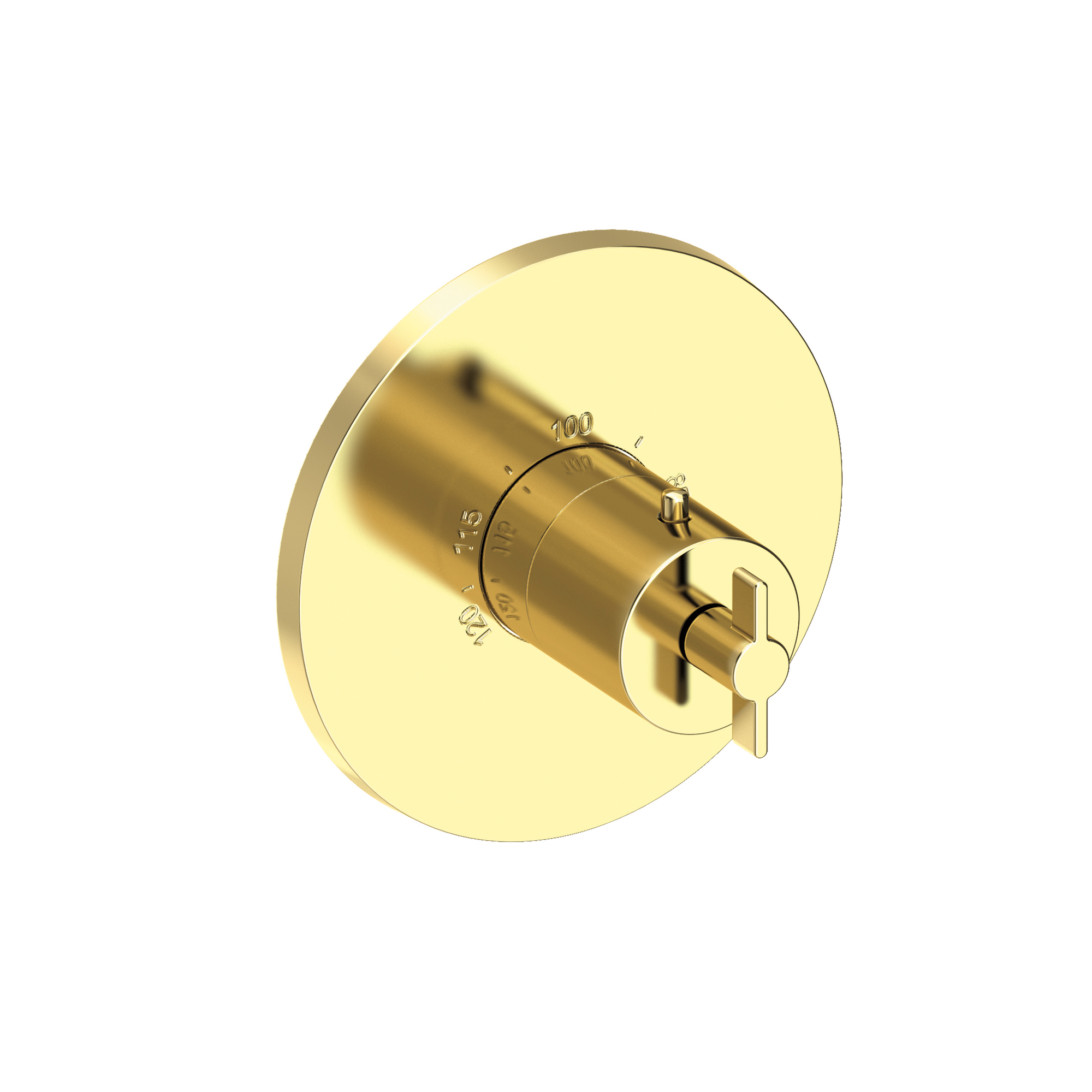 Newport Brass Tolmin® 3/4" Round Thermostatic Trim Plate with Handle