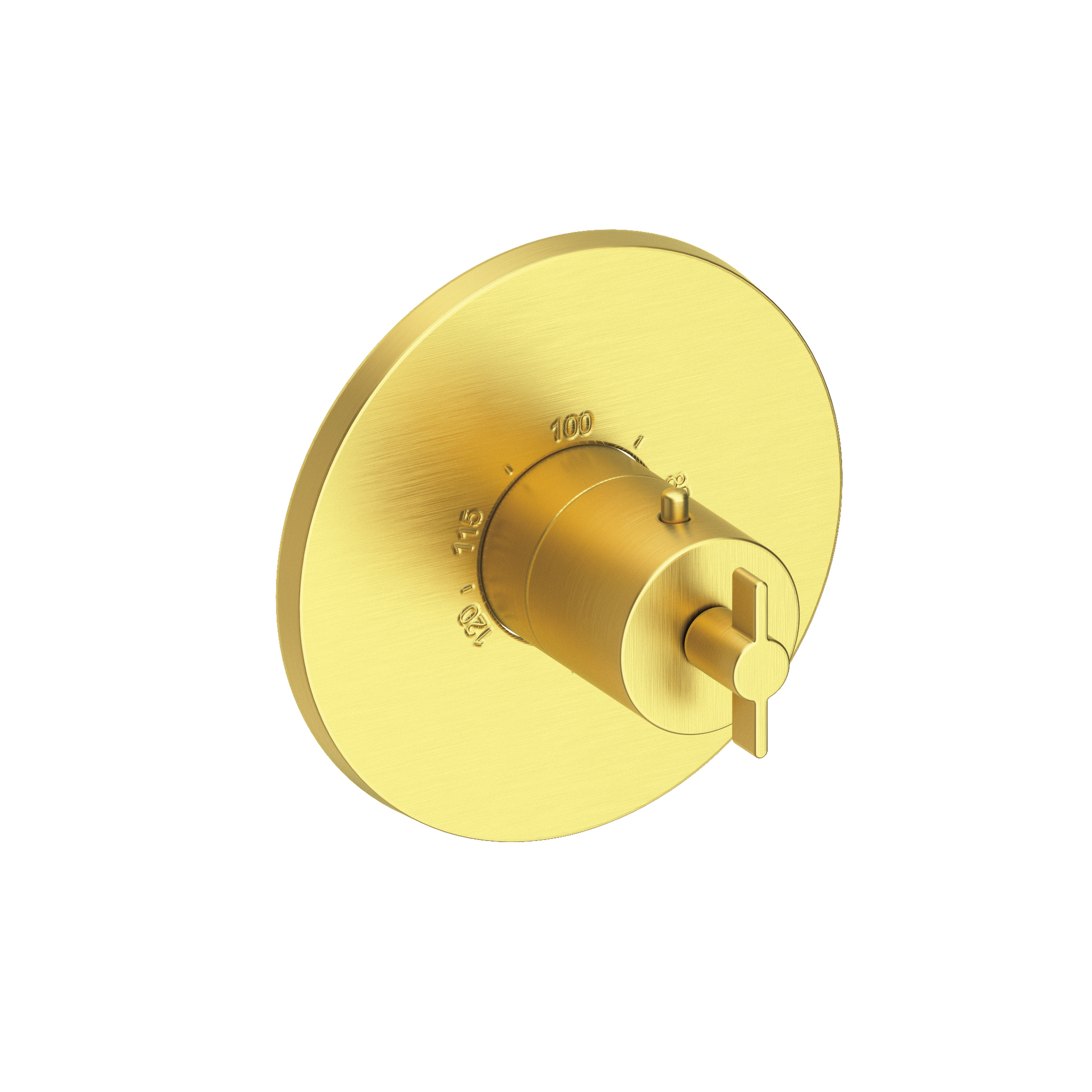Newport Brass Tolmin® 3/4" Round Thermostatic Trim Plate with Handle