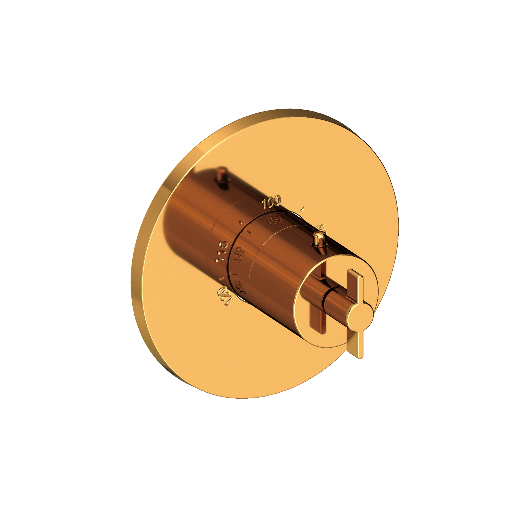Newport Brass Tolmin® 3/4" Round Thermostatic Trim Plate with Handle