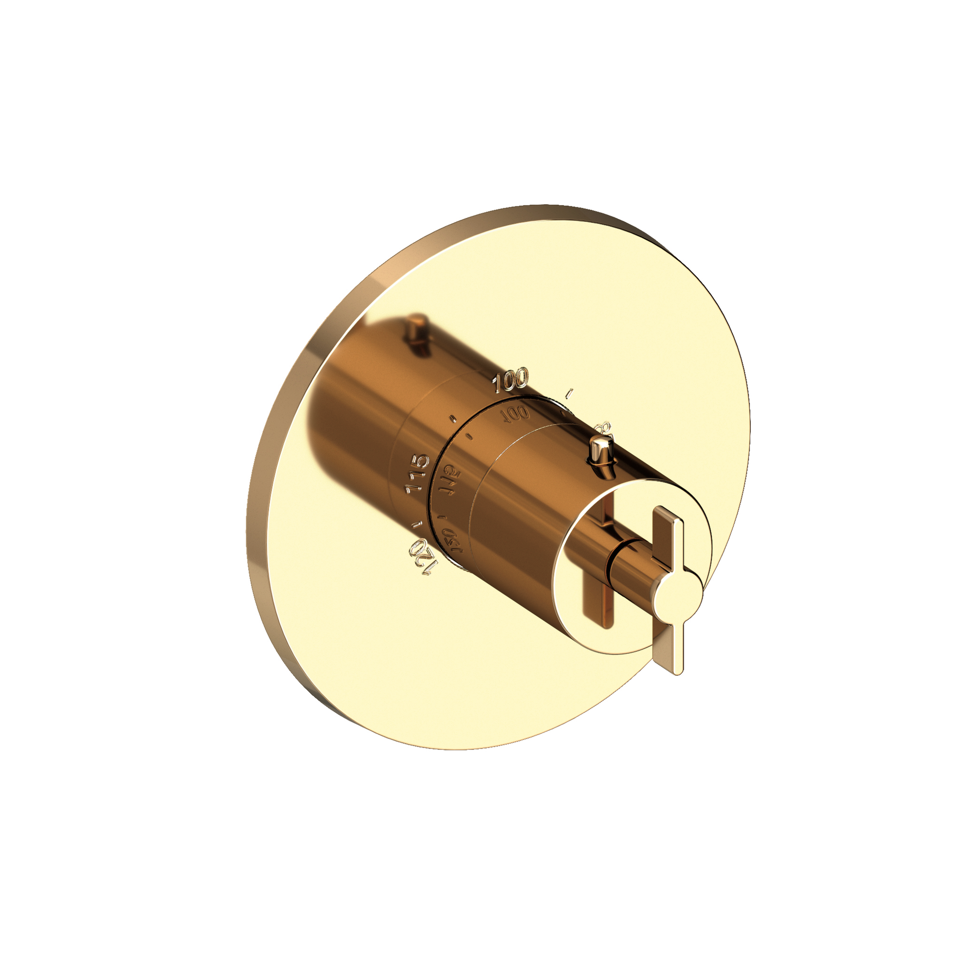 Newport Brass Tolmin® 3/4" Round Thermostatic Trim Plate with Handle