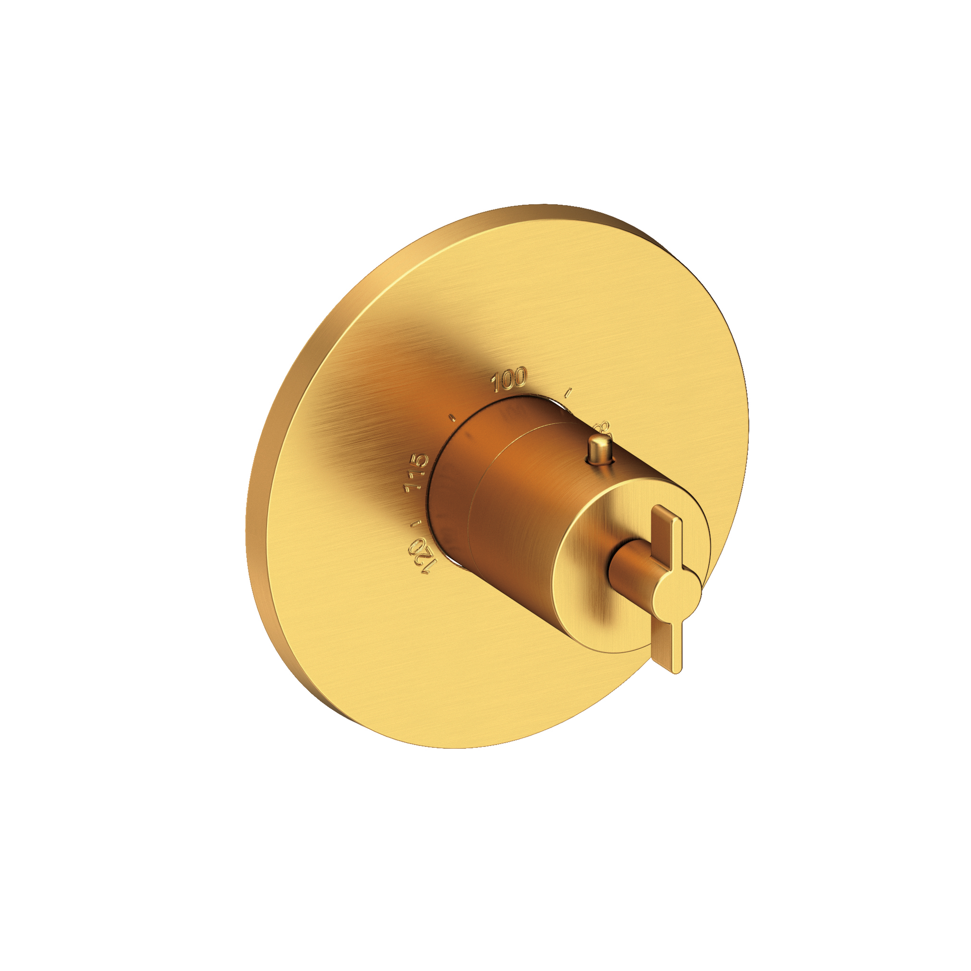 Newport Brass Tolmin® 3/4" Round Thermostatic Trim Plate with Handle