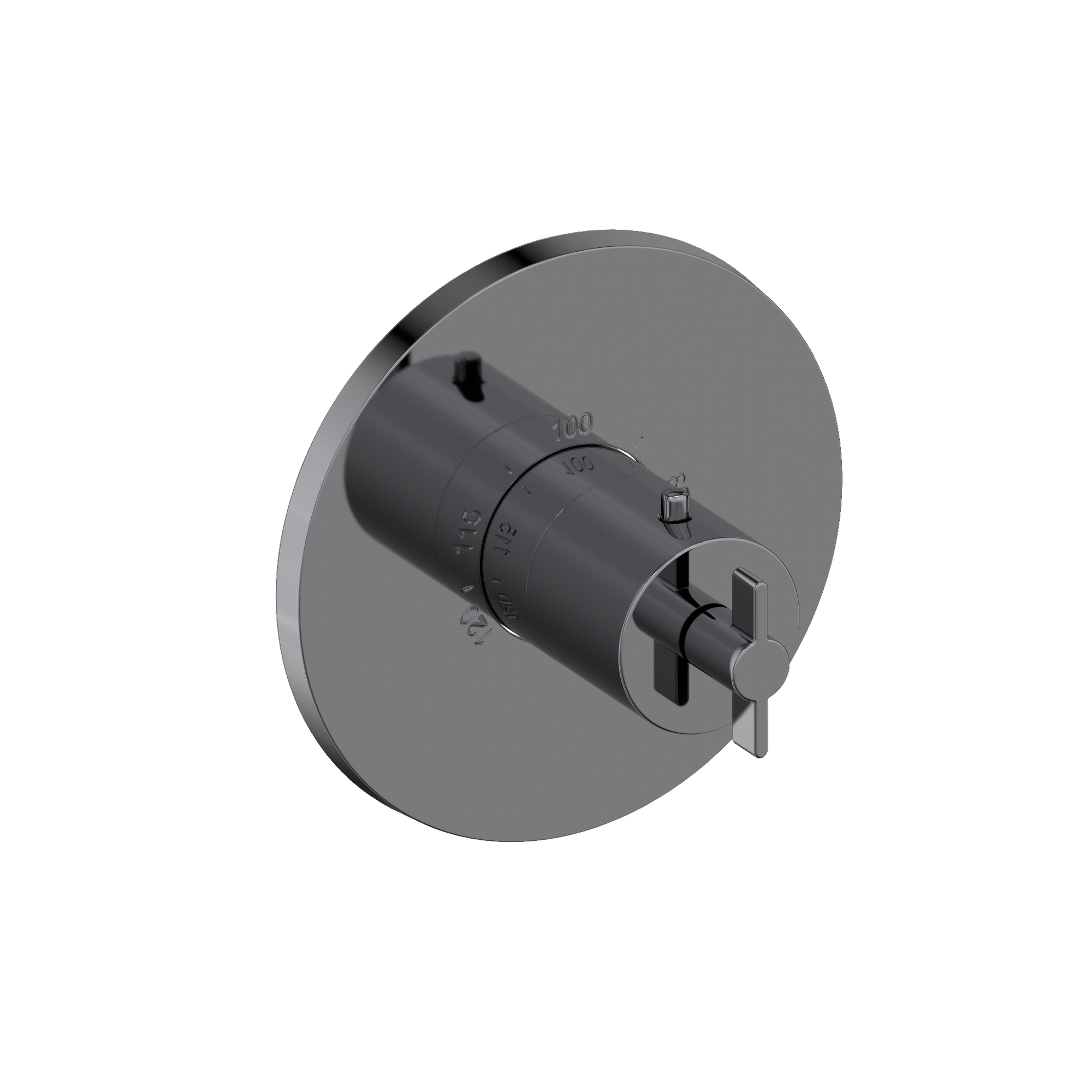 Newport Brass Tolmin® 3/4" Round Thermostatic Trim Plate with Handle