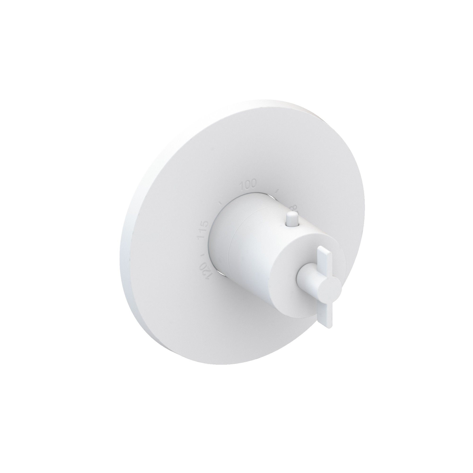 Newport Brass Tolmin® 3/4" Round Thermostatic Trim Plate with Handle