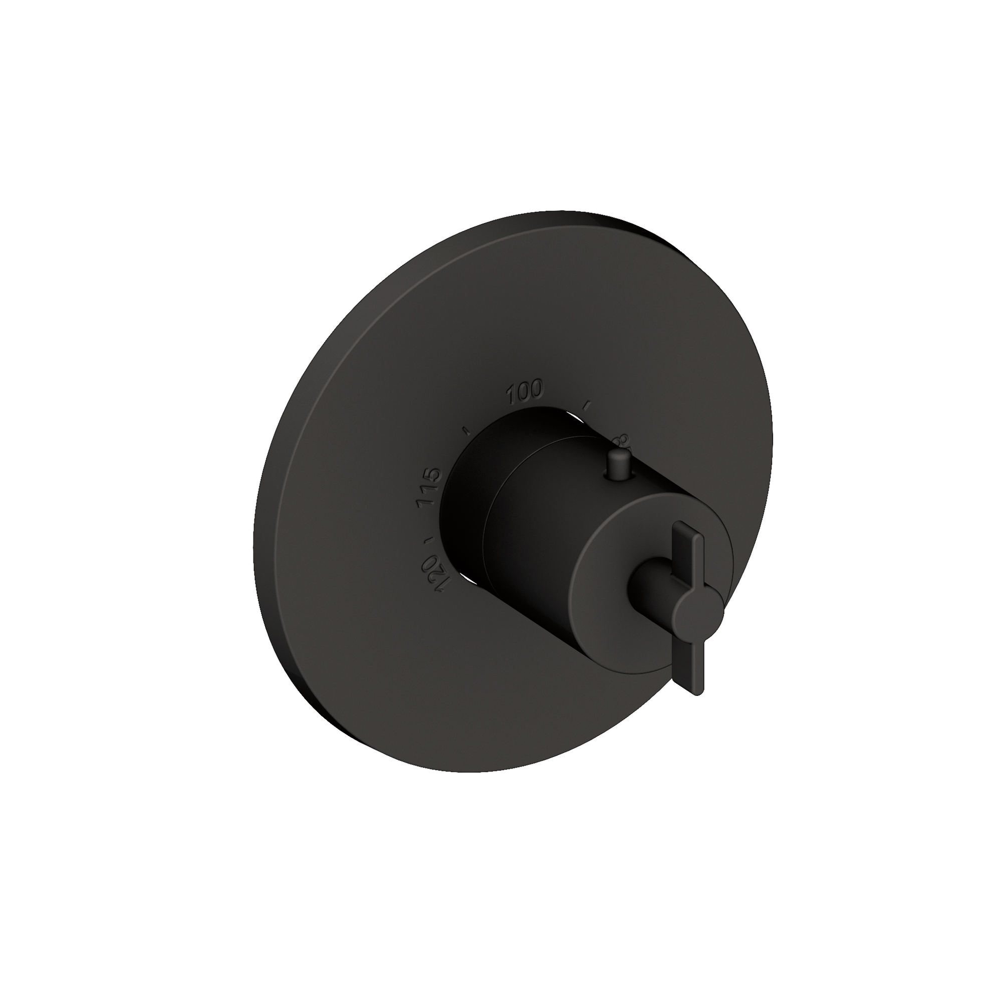 Newport Brass Tolmin® 3/4" Round Thermostatic Trim Plate with Handle