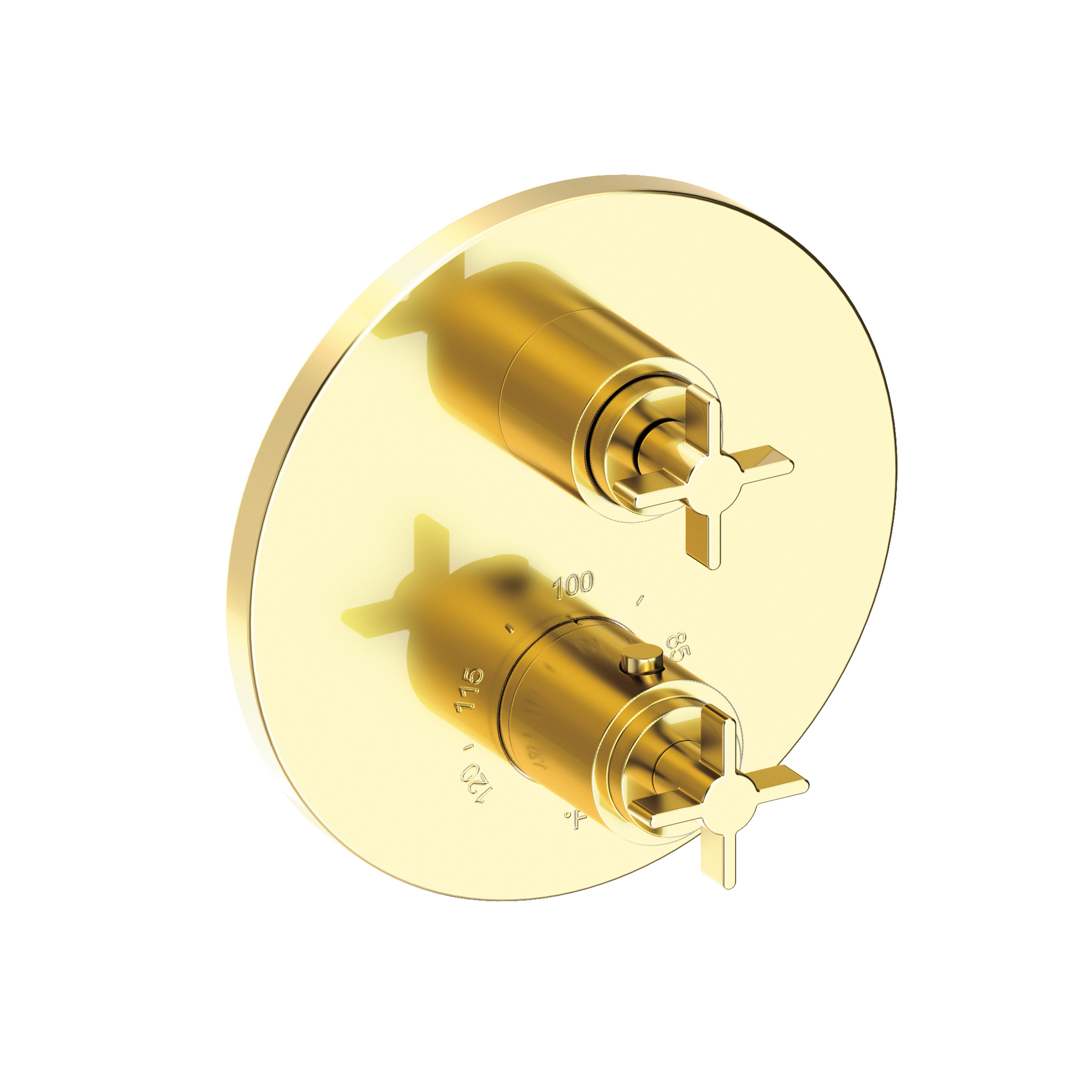 Newport Brass Tolmin® 1/2" Round Thermostatic Trim Plate with Handle
