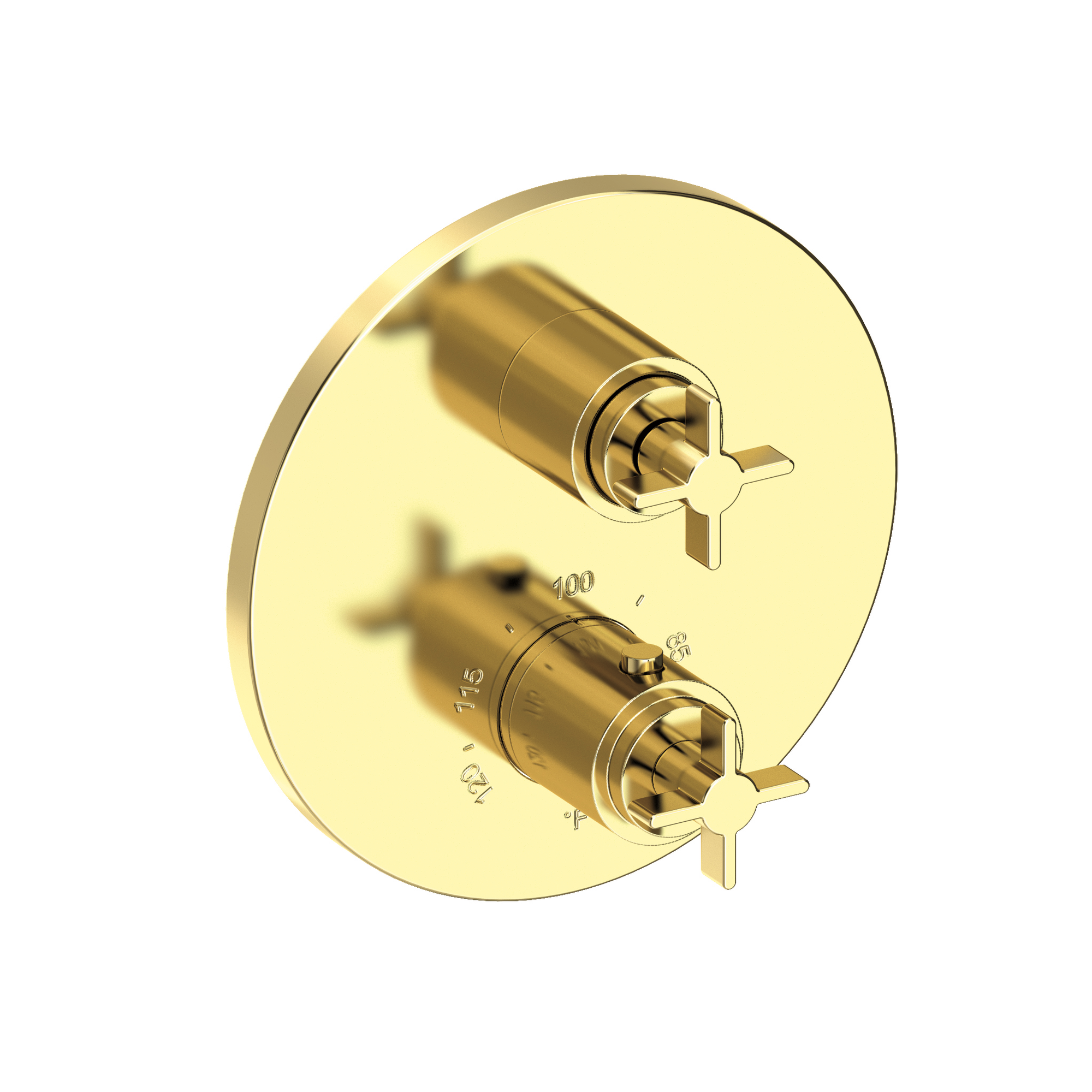 Newport Brass Tolmin® 1/2" Round Thermostatic Trim Plate with Handle