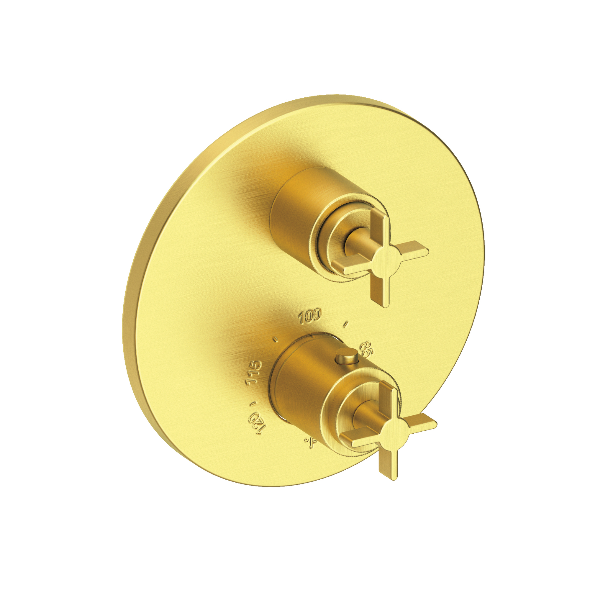 Newport Brass Tolmin® 1/2" Round Thermostatic Trim Plate with Handle