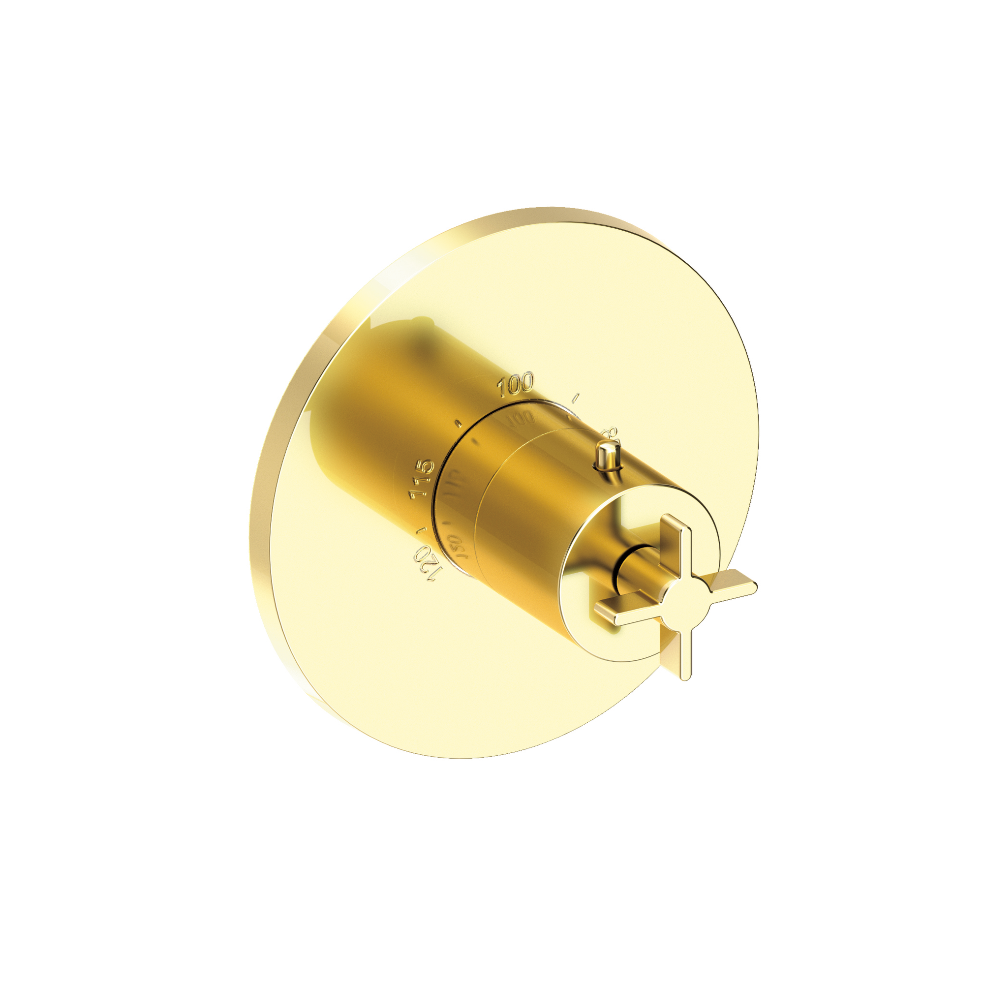 Newport Brass Tolmin® 3/4" Round Thermostatic Trim Plate with Handle