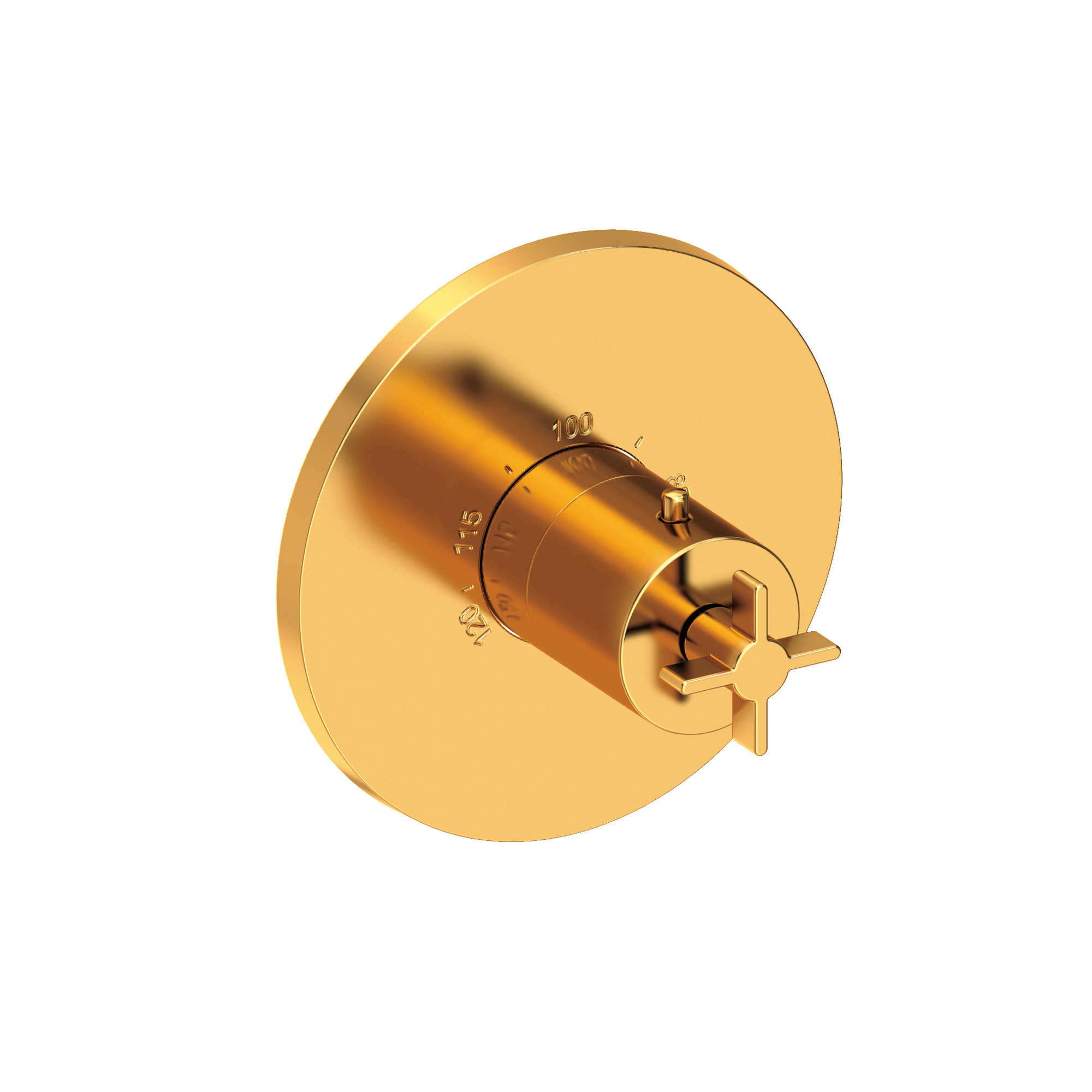 Newport Brass Tolmin® 3/4" Round Thermostatic Trim Plate with Handle