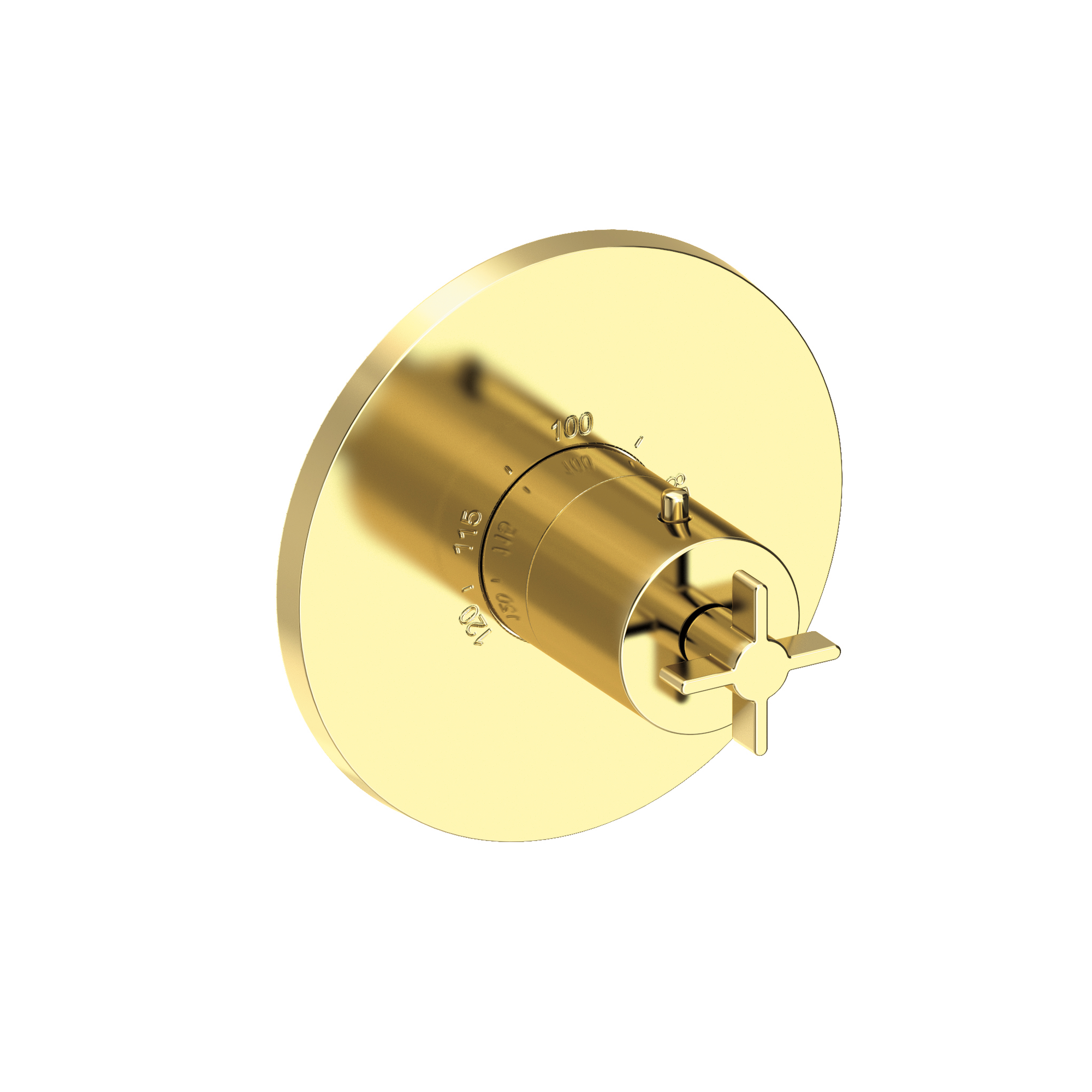 Newport Brass Tolmin® 3/4" Round Thermostatic Trim Plate with Handle