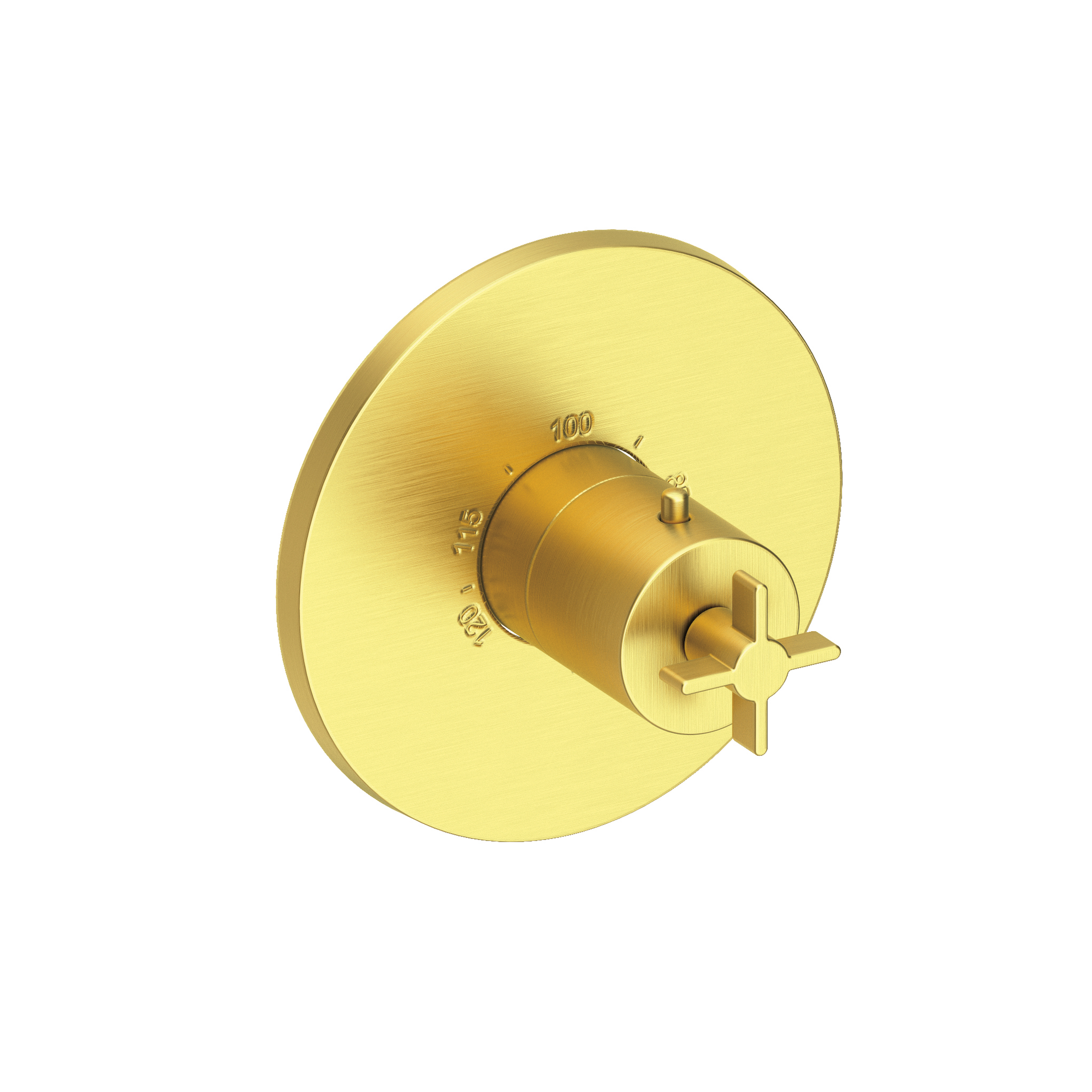 Newport Brass Tolmin® 3/4" Round Thermostatic Trim Plate with Handle