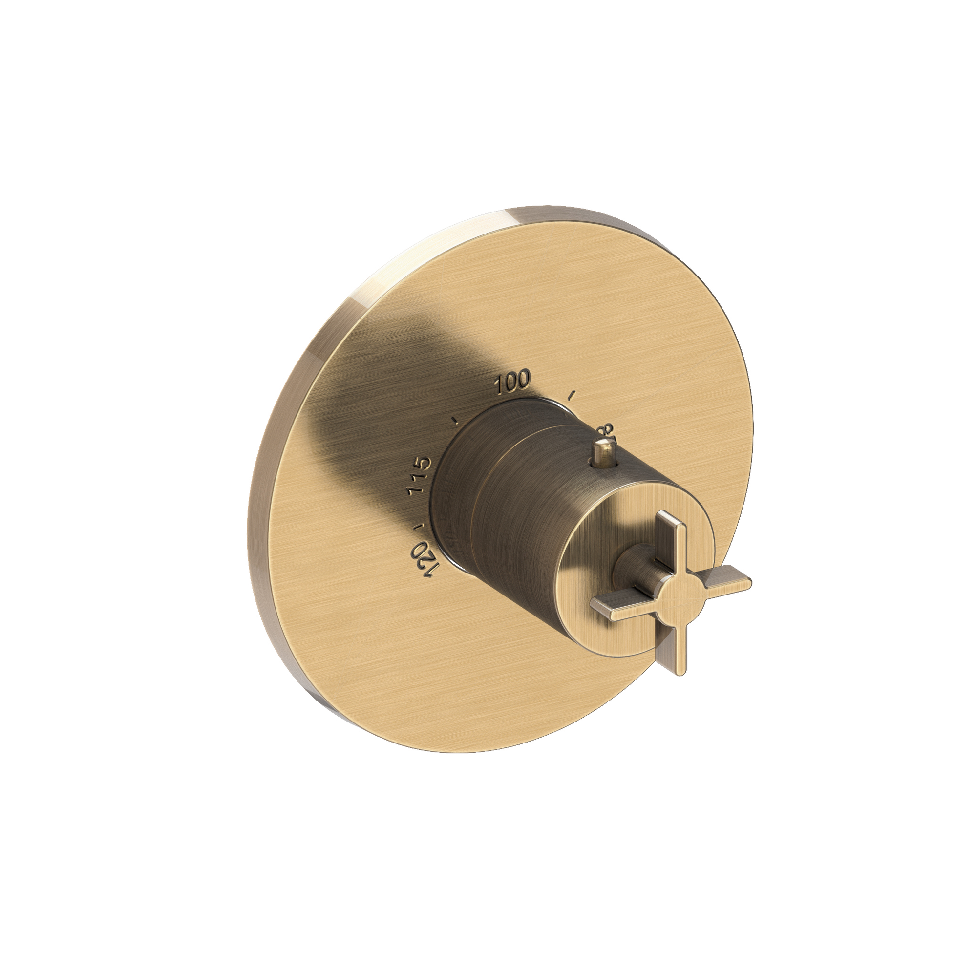 Newport Brass Tolmin® 3/4" Round Thermostatic Trim Plate with Handle