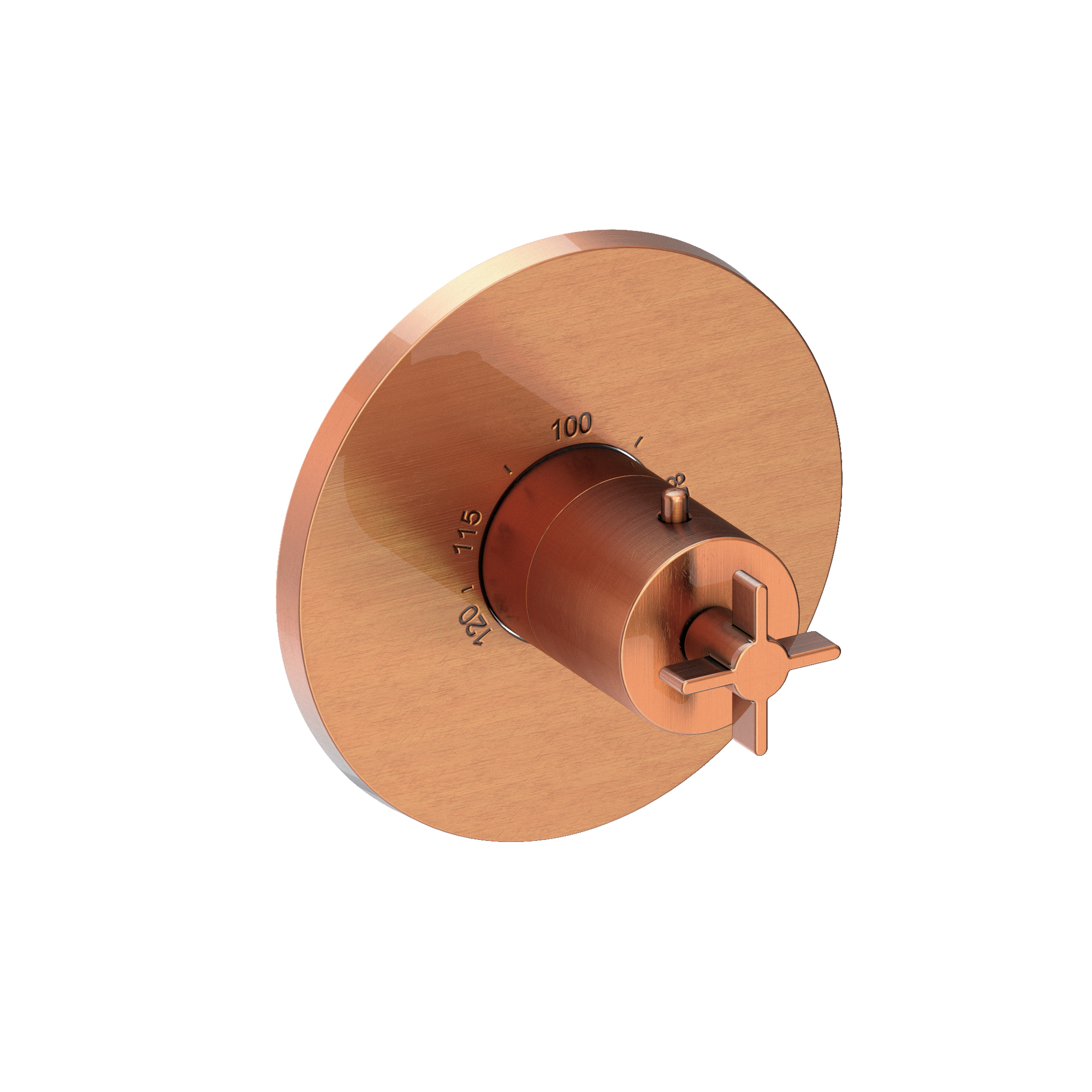 Newport Brass Tolmin® 3/4" Round Thermostatic Trim Plate with Handle