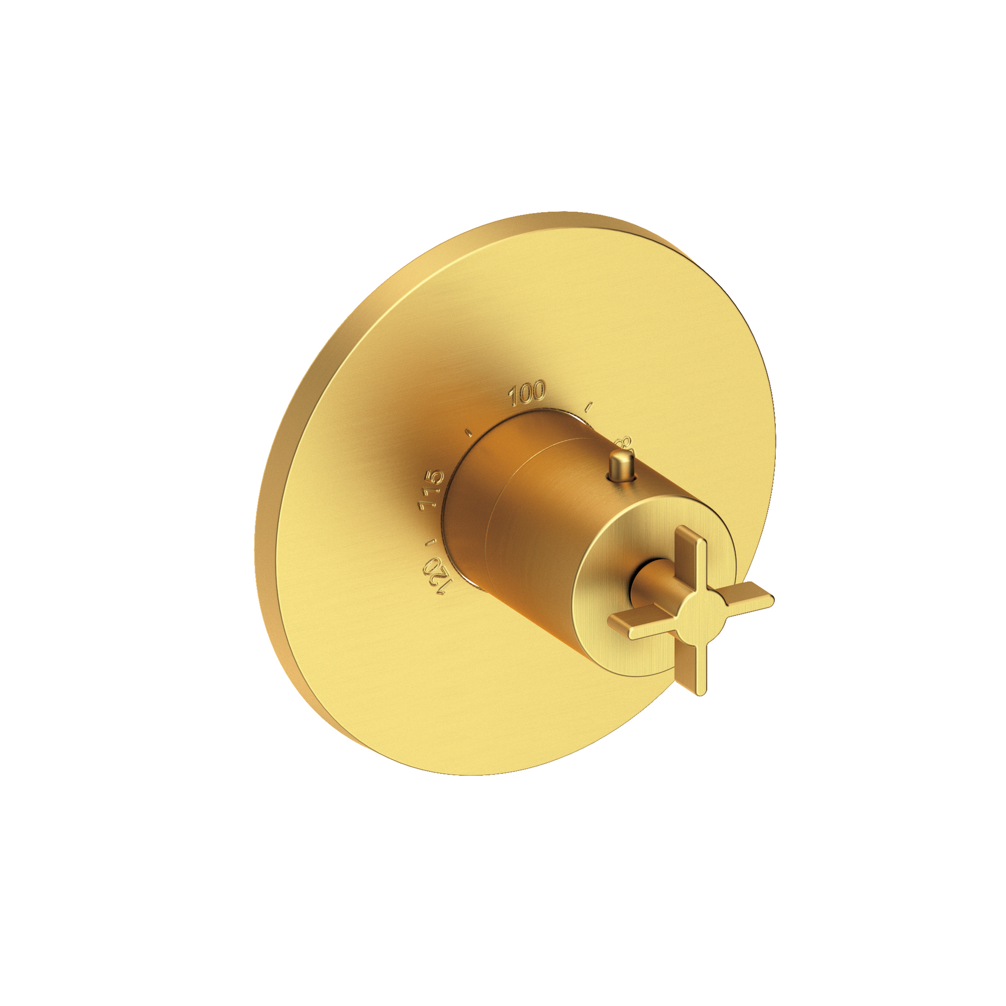 Newport Brass Tolmin® 3/4" Round Thermostatic Trim Plate with Handle