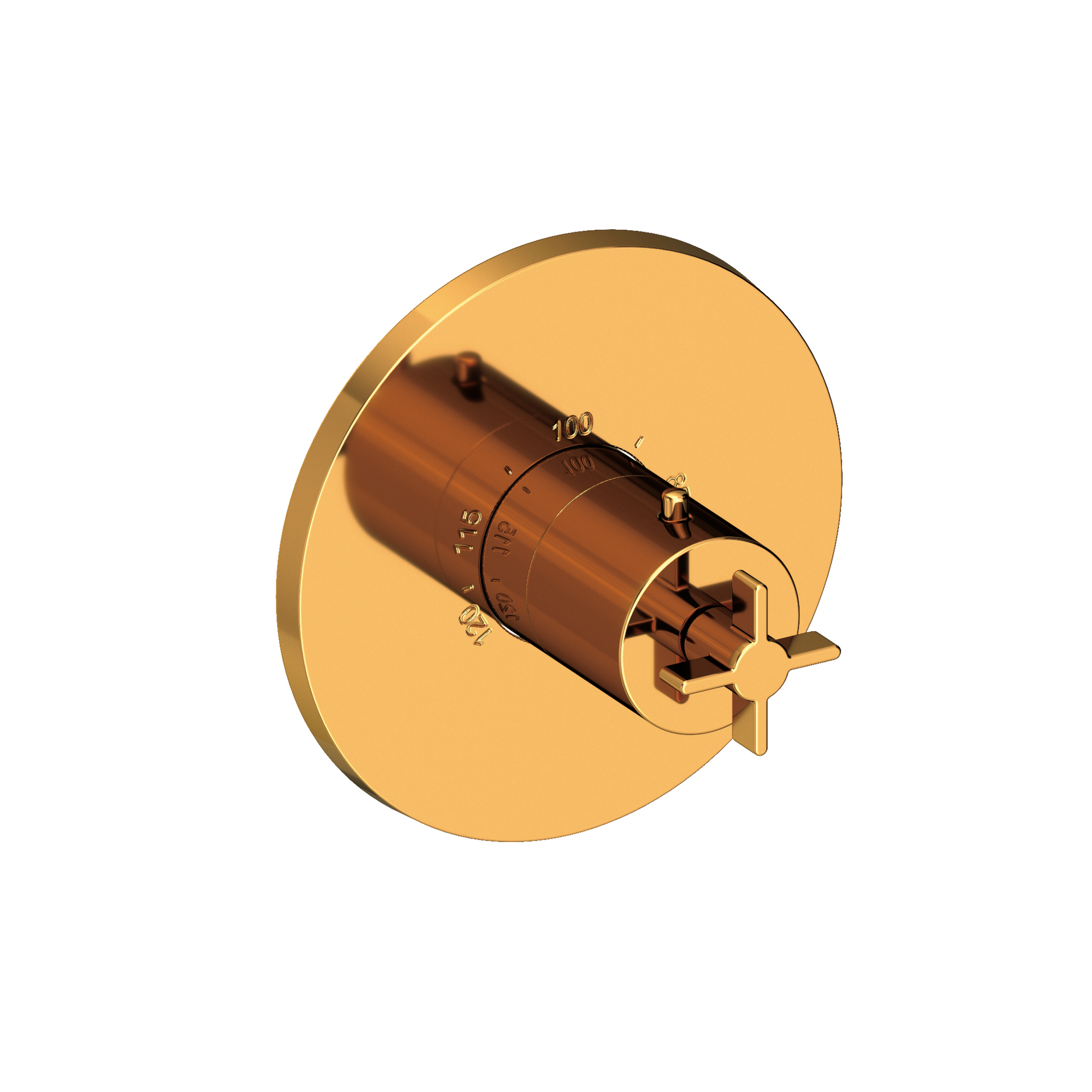 Newport Brass Tolmin® 3/4" Round Thermostatic Trim Plate with Handle