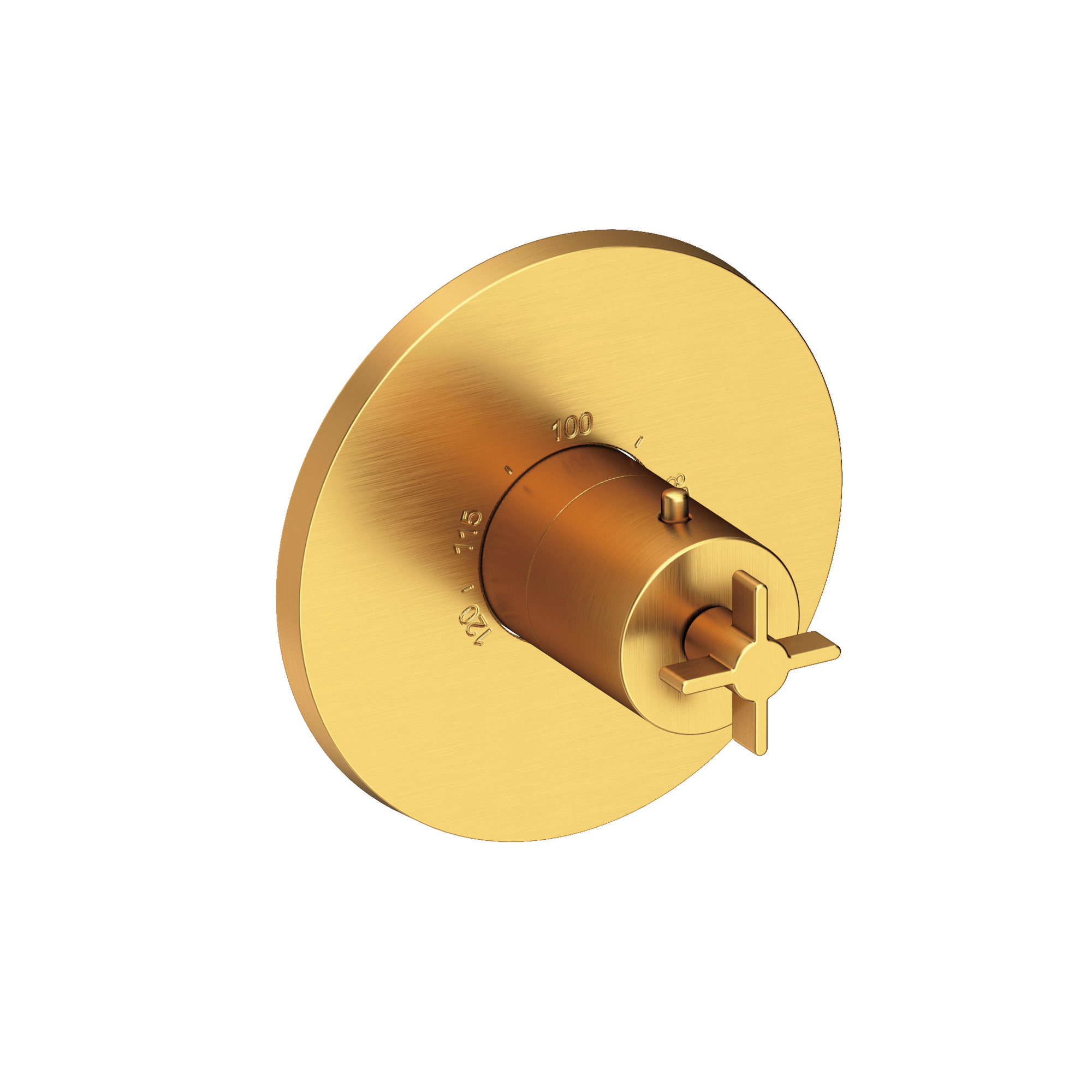 Newport Brass Tolmin® 3/4" Round Thermostatic Trim Plate with Handle