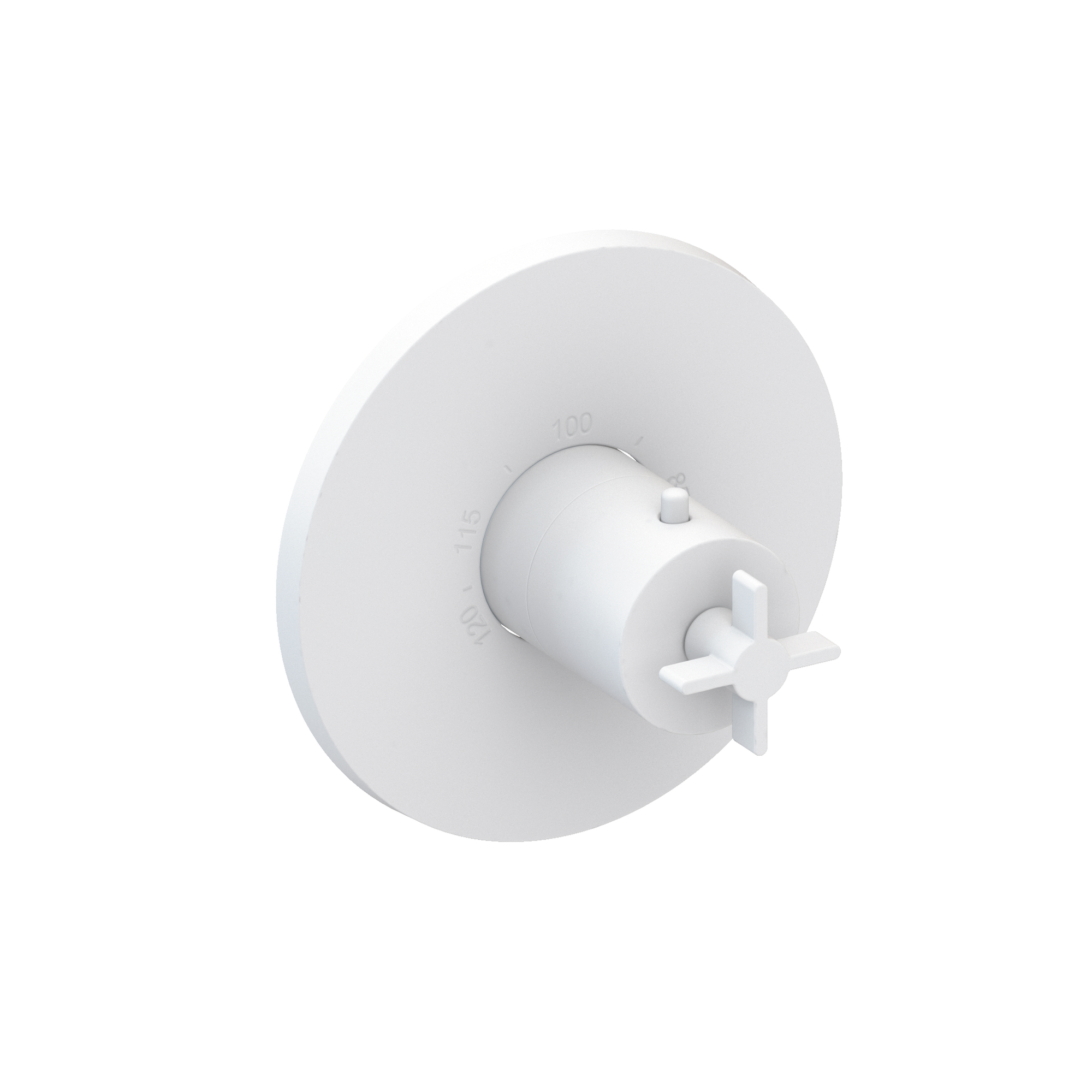 Newport Brass Tolmin® 3/4" Round Thermostatic Trim Plate with Handle