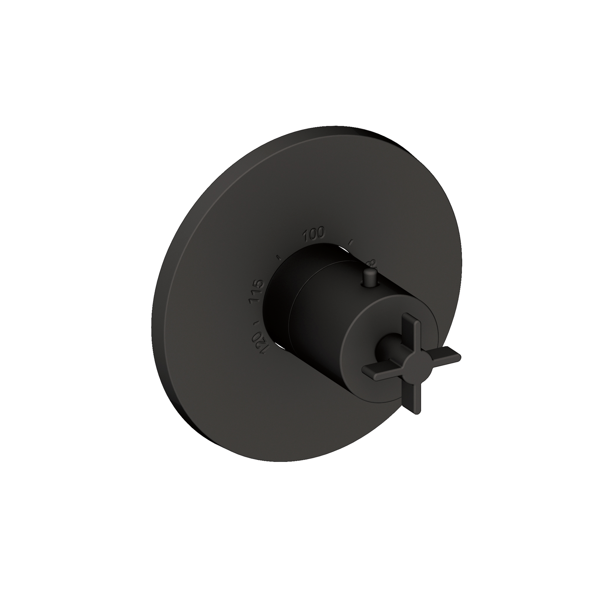 Newport Brass Tolmin® 3/4" Round Thermostatic Trim Plate with Handle