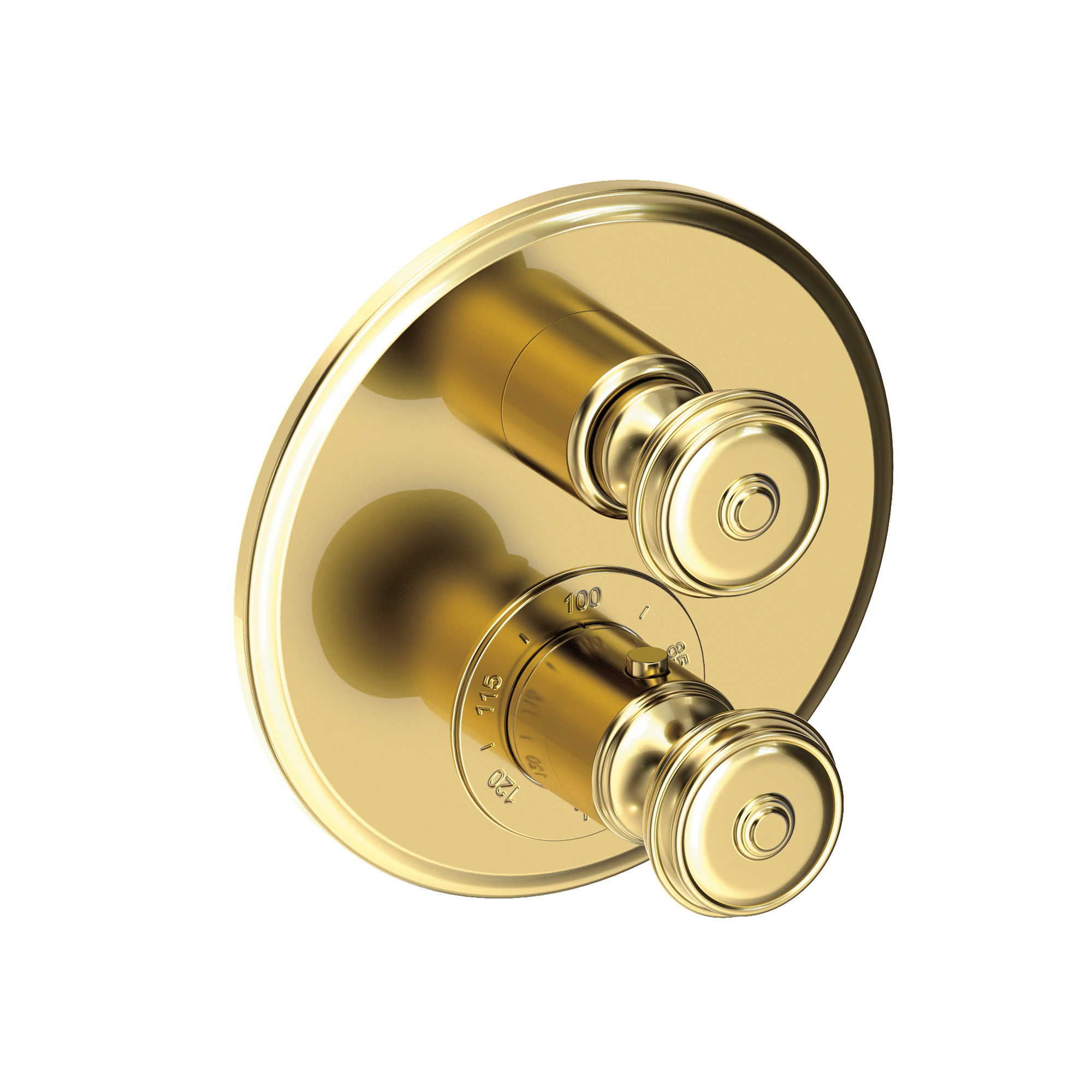 Newport Brass Seaport® 1/2" Round Thermostatic Trim Plate with Handle