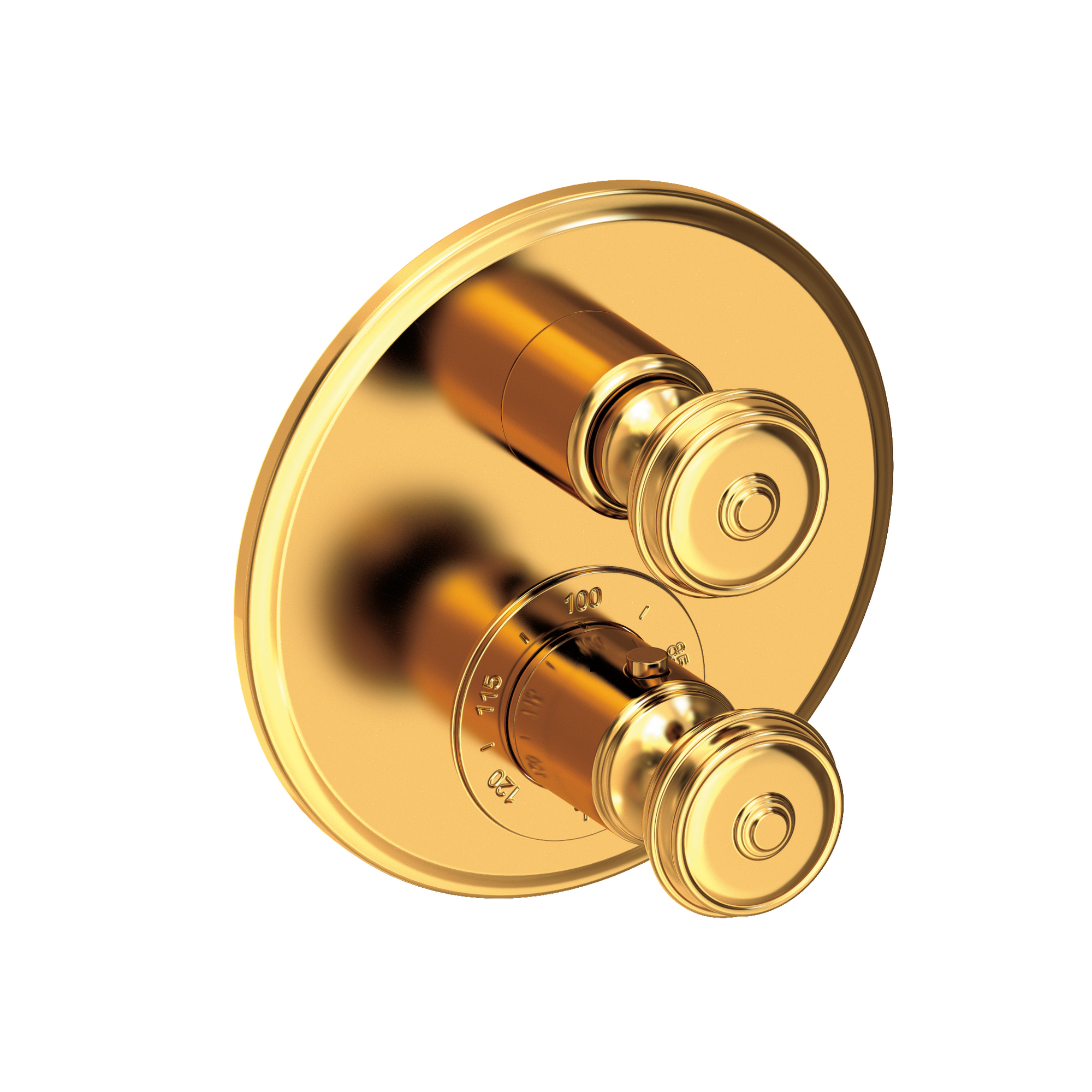 Newport Brass Seaport® 1/2" Round Thermostatic Trim Plate with Handle