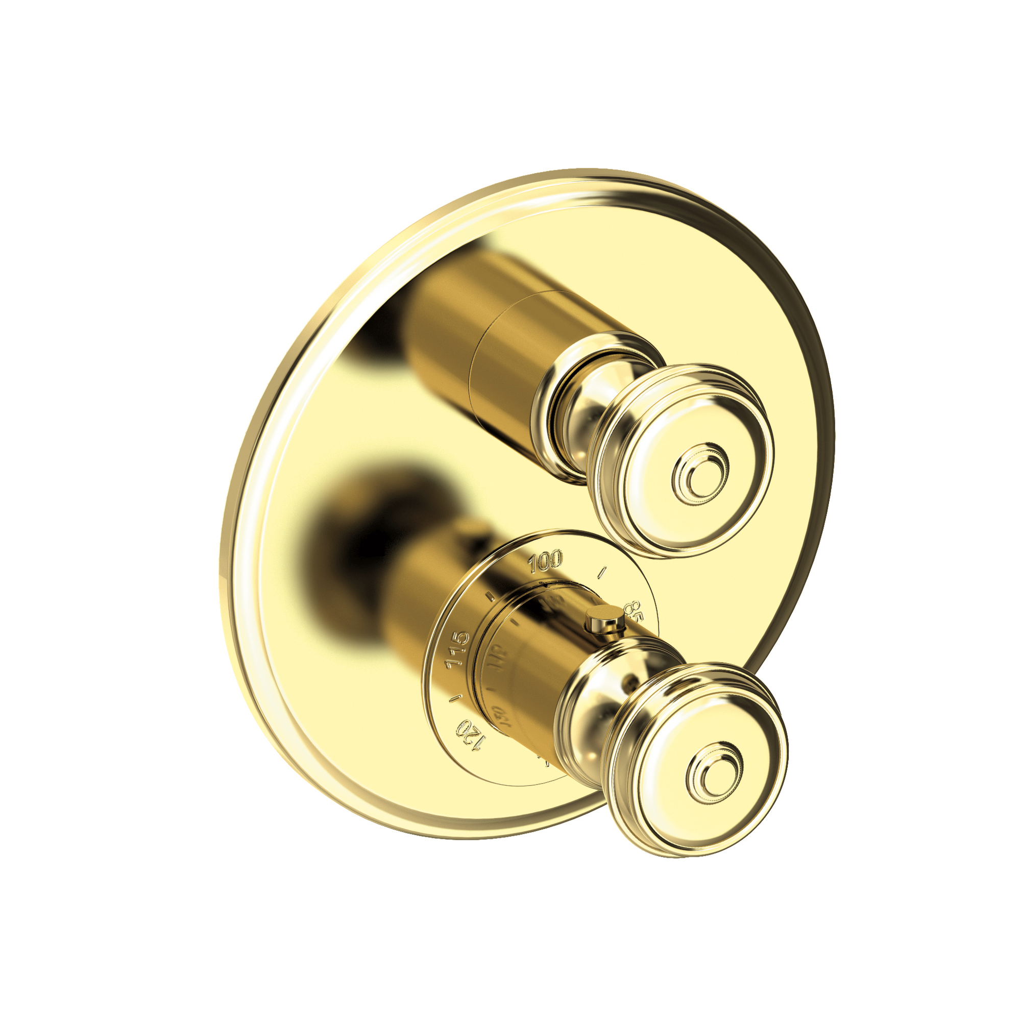 Newport Brass Seaport® 1/2" Round Thermostatic Trim Plate with Handle