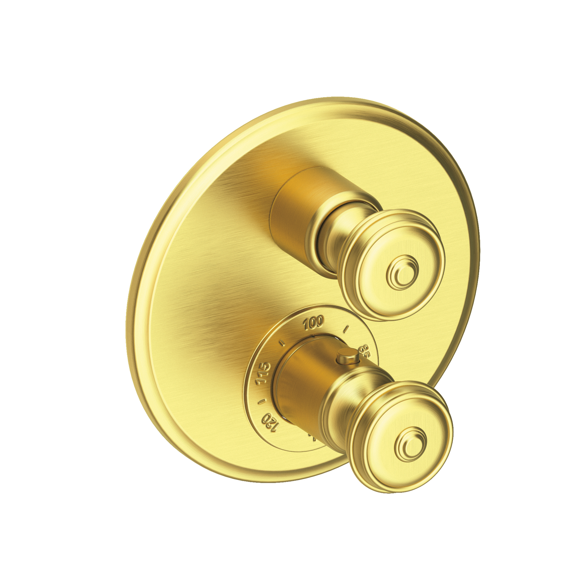 Newport Brass Seaport® 1/2" Round Thermostatic Trim Plate with Handle