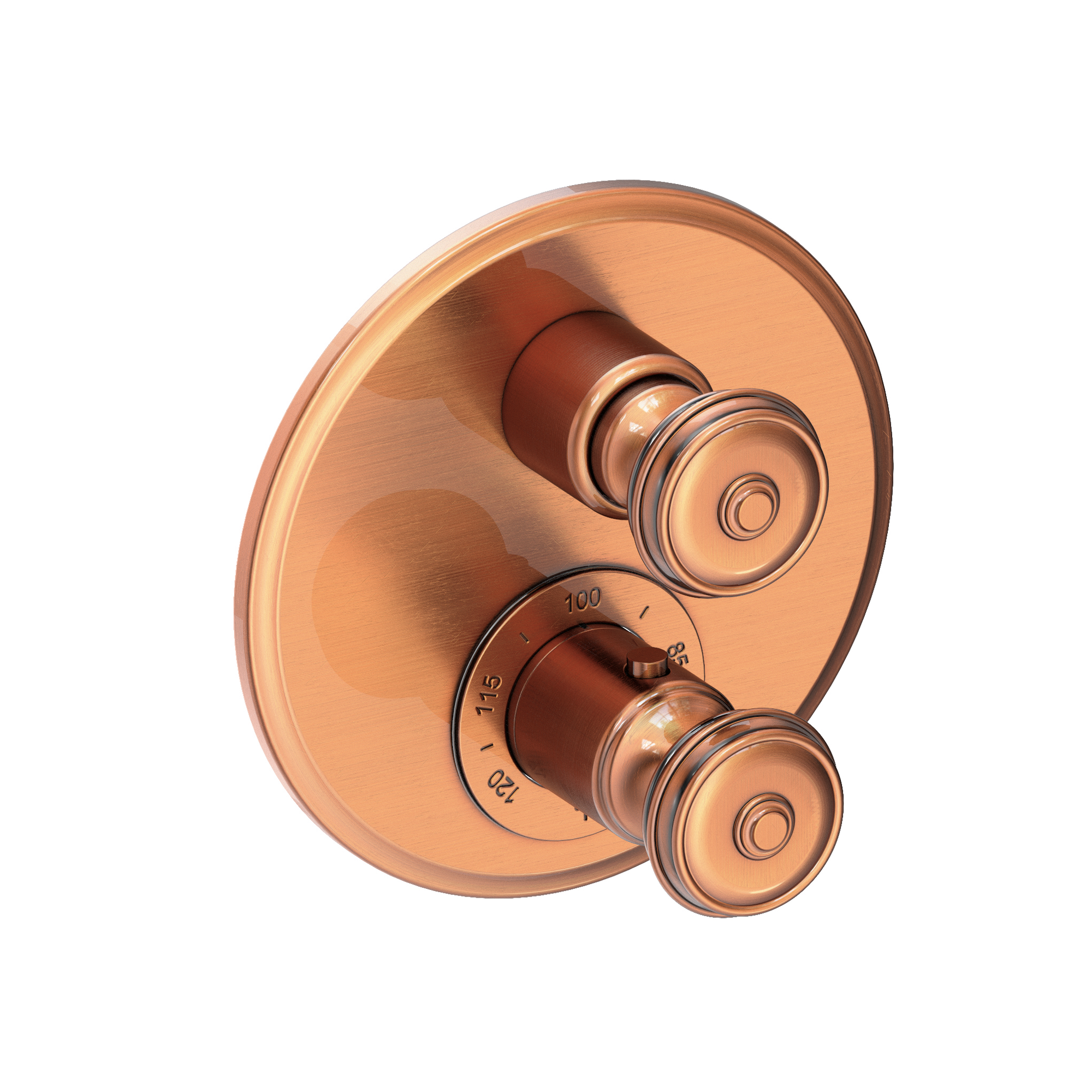 Newport Brass Seaport® 1/2" Round Thermostatic Trim Plate with Handle