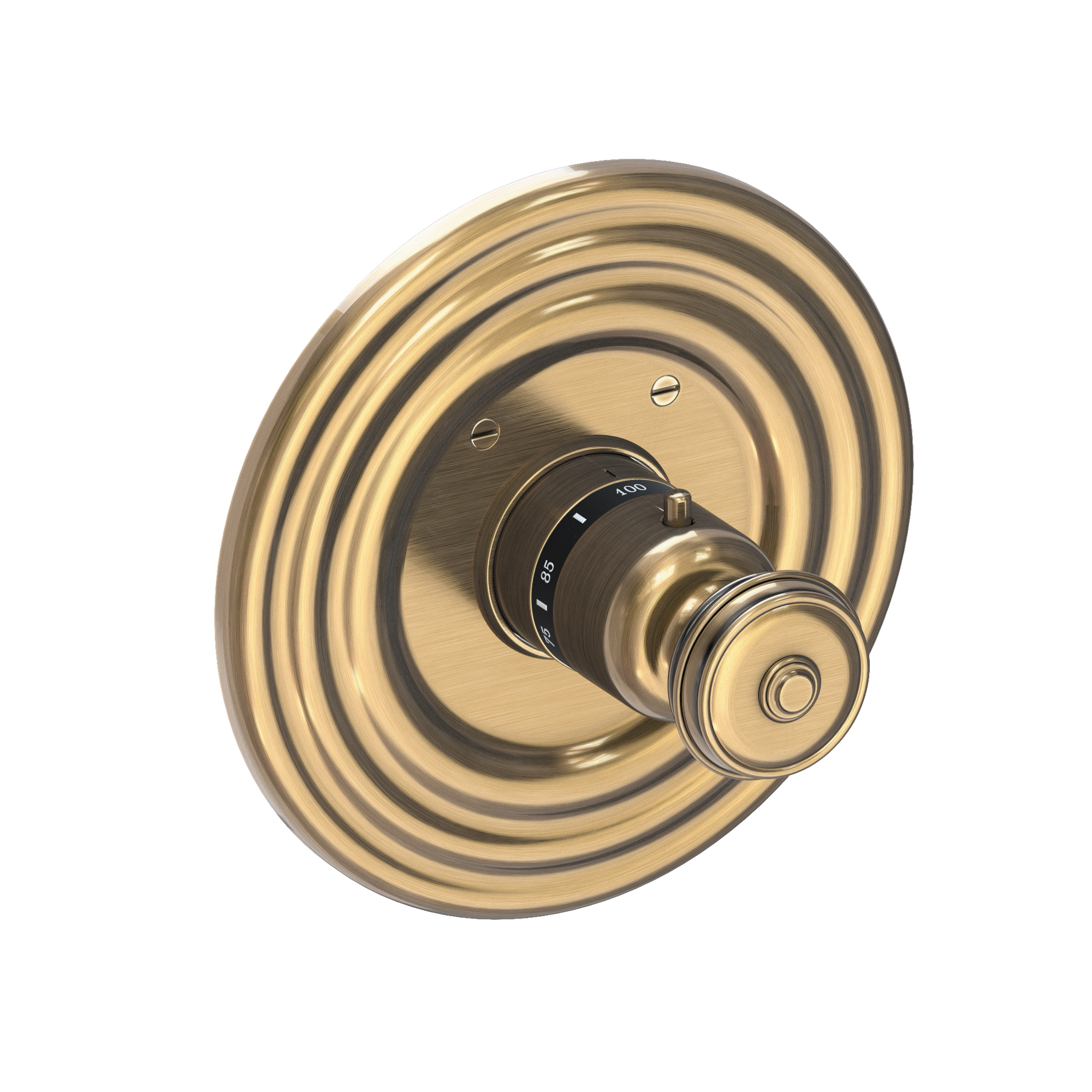 Newport Brass Seaport® 3/4" Round Thermostatic Trim Plate with Handle