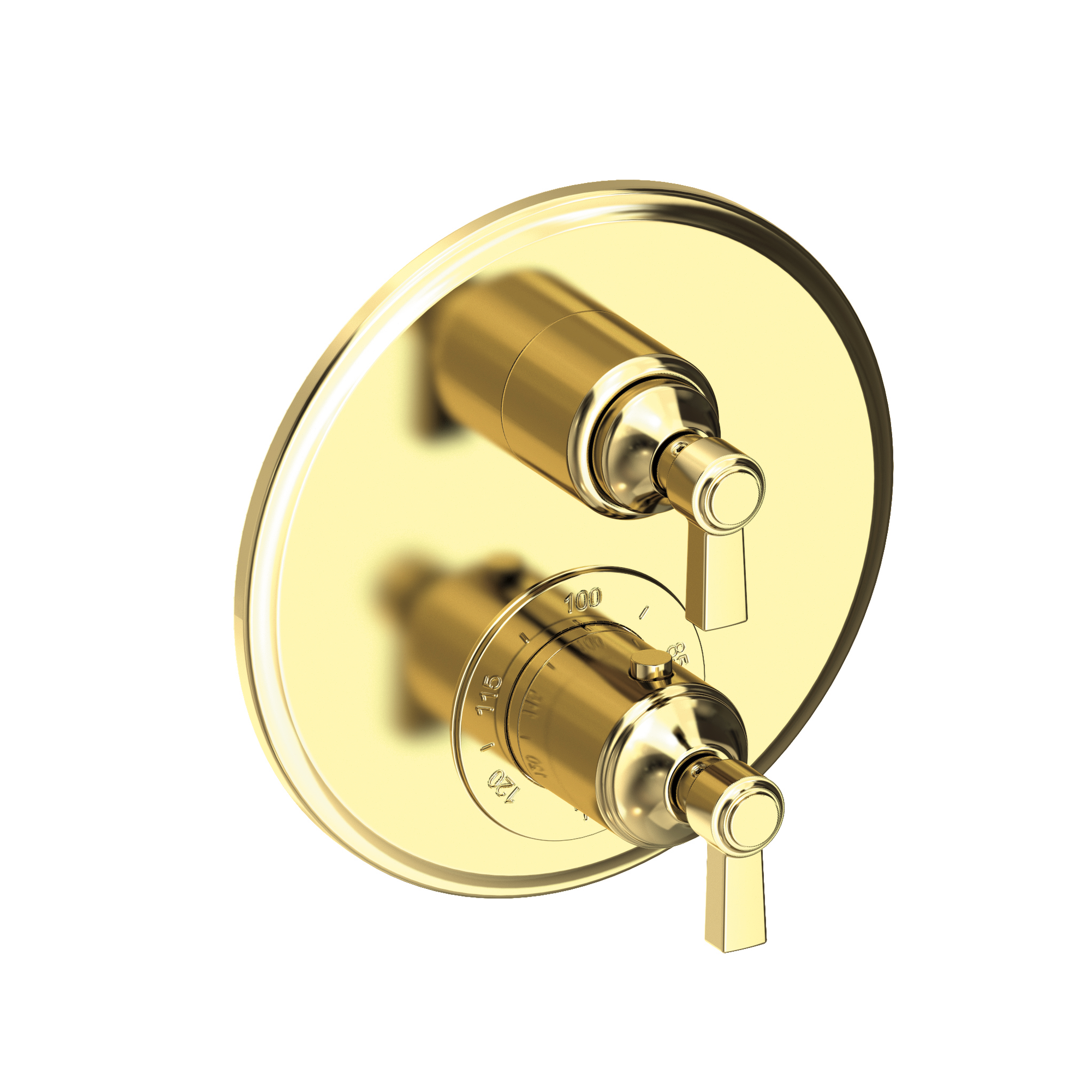 Newport Brass Astor® 1/2" Round Thermostatic Trim Plate with Handle 3-913TR